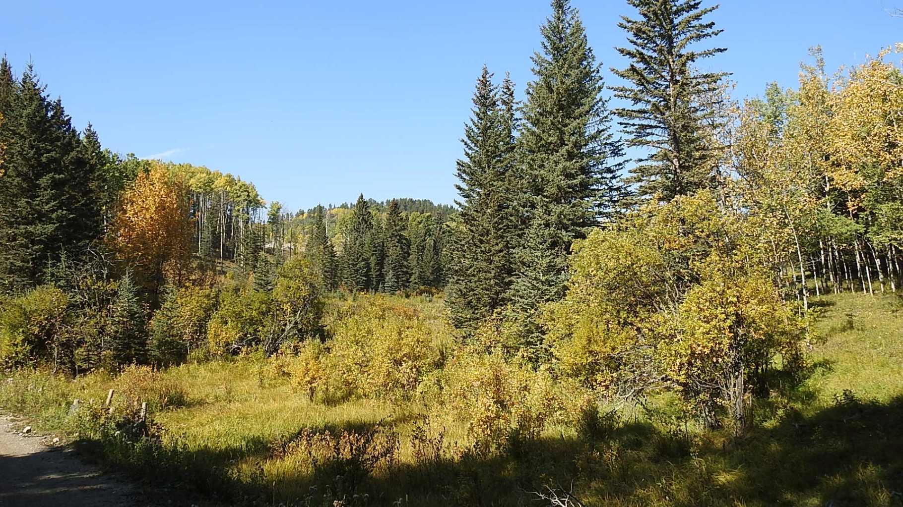 RURAL FOOTHILLS COUNTY, Alberta, T0L 1K0, CA, ,Residential,For Sale,1836944