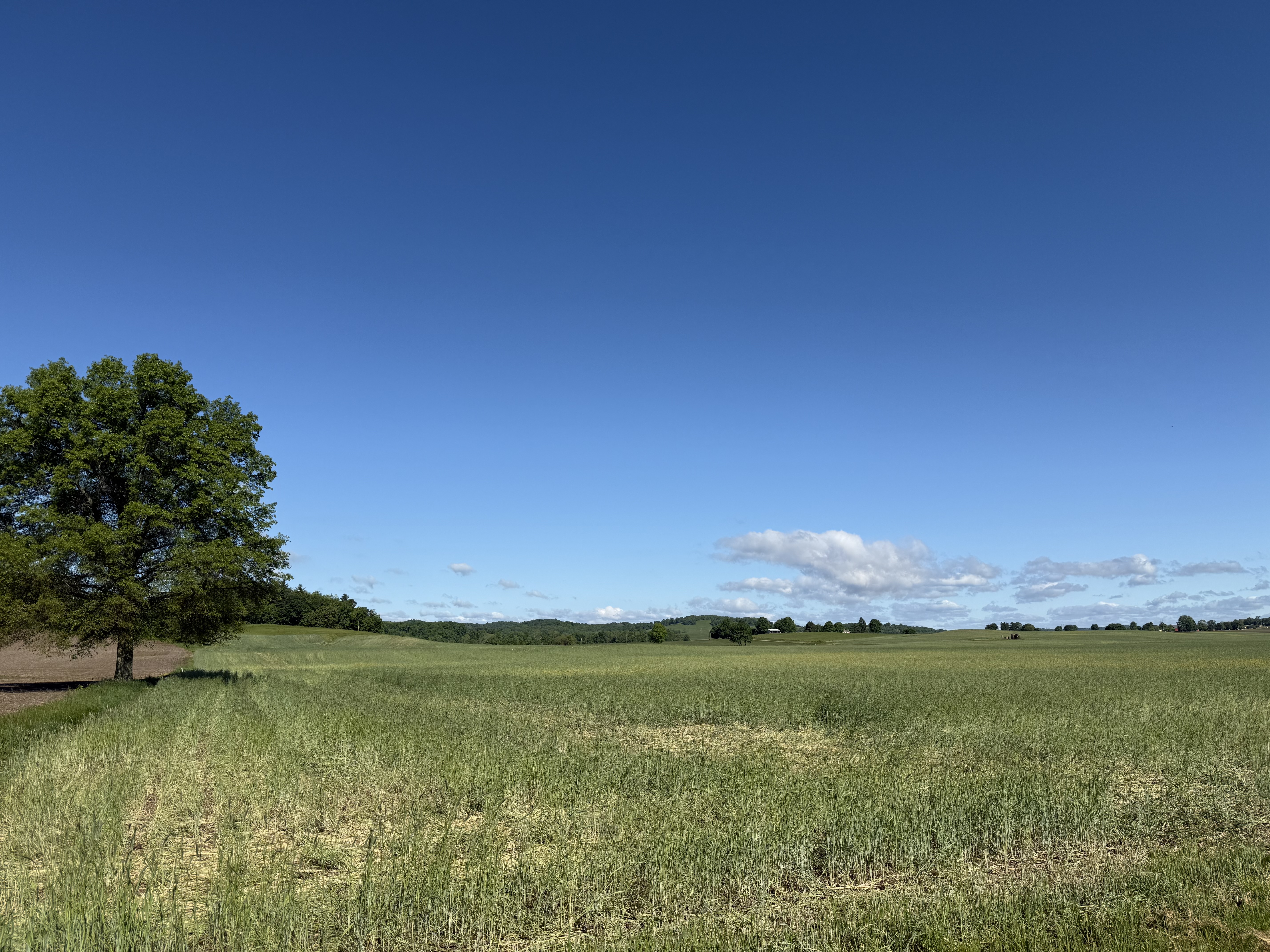 West Lafayette, Ohio, 43845, United States, ,Residential,For Sale,1825407