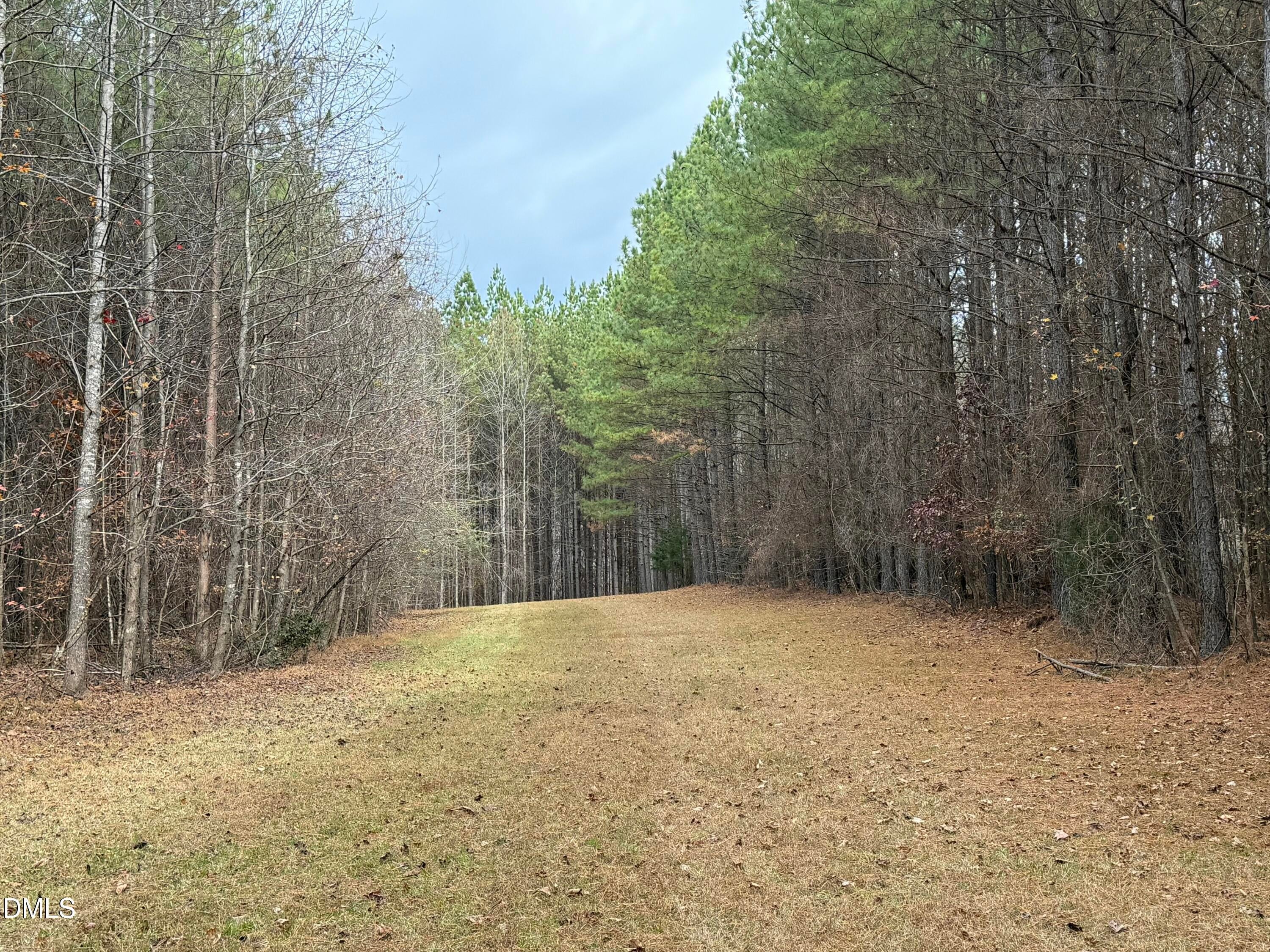 Oxford, North Carolina, 27565, United States, ,Land,For Sale,2000467