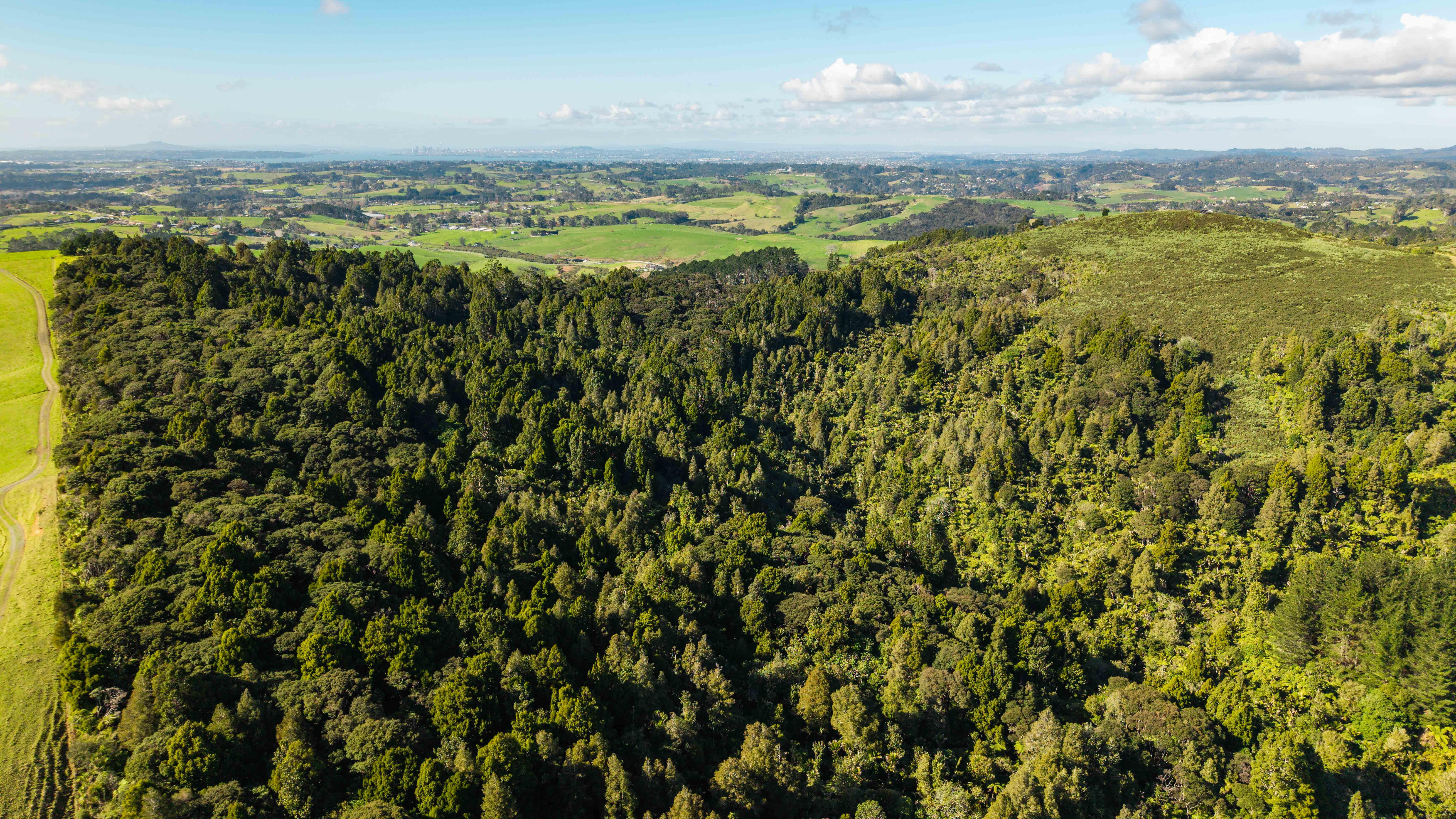  121 Mount Albion Rise, Taupaki - 物件實景