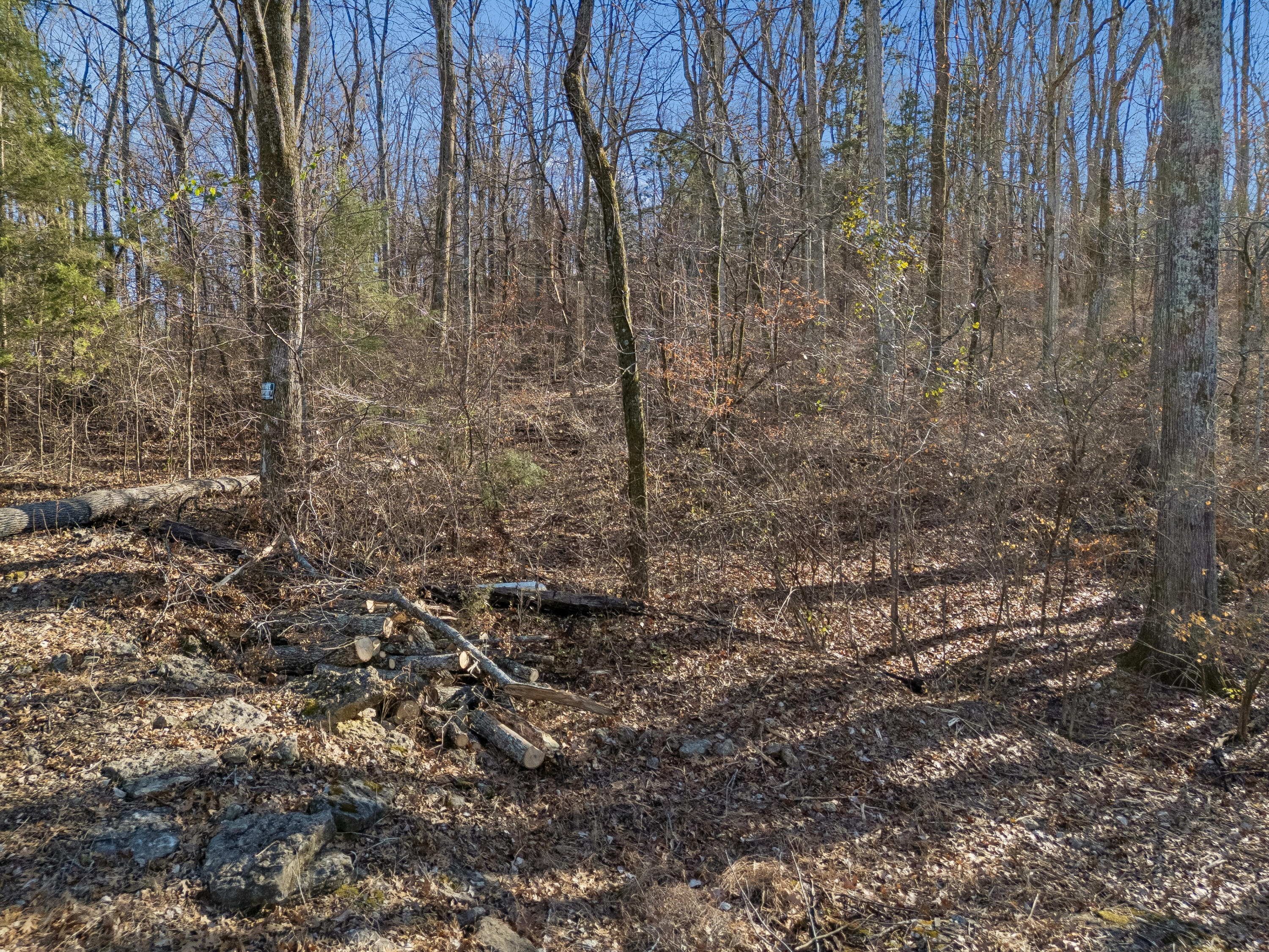 Brentwood, Tennessee, 37027, United States, ,Land,For Sale,2005446