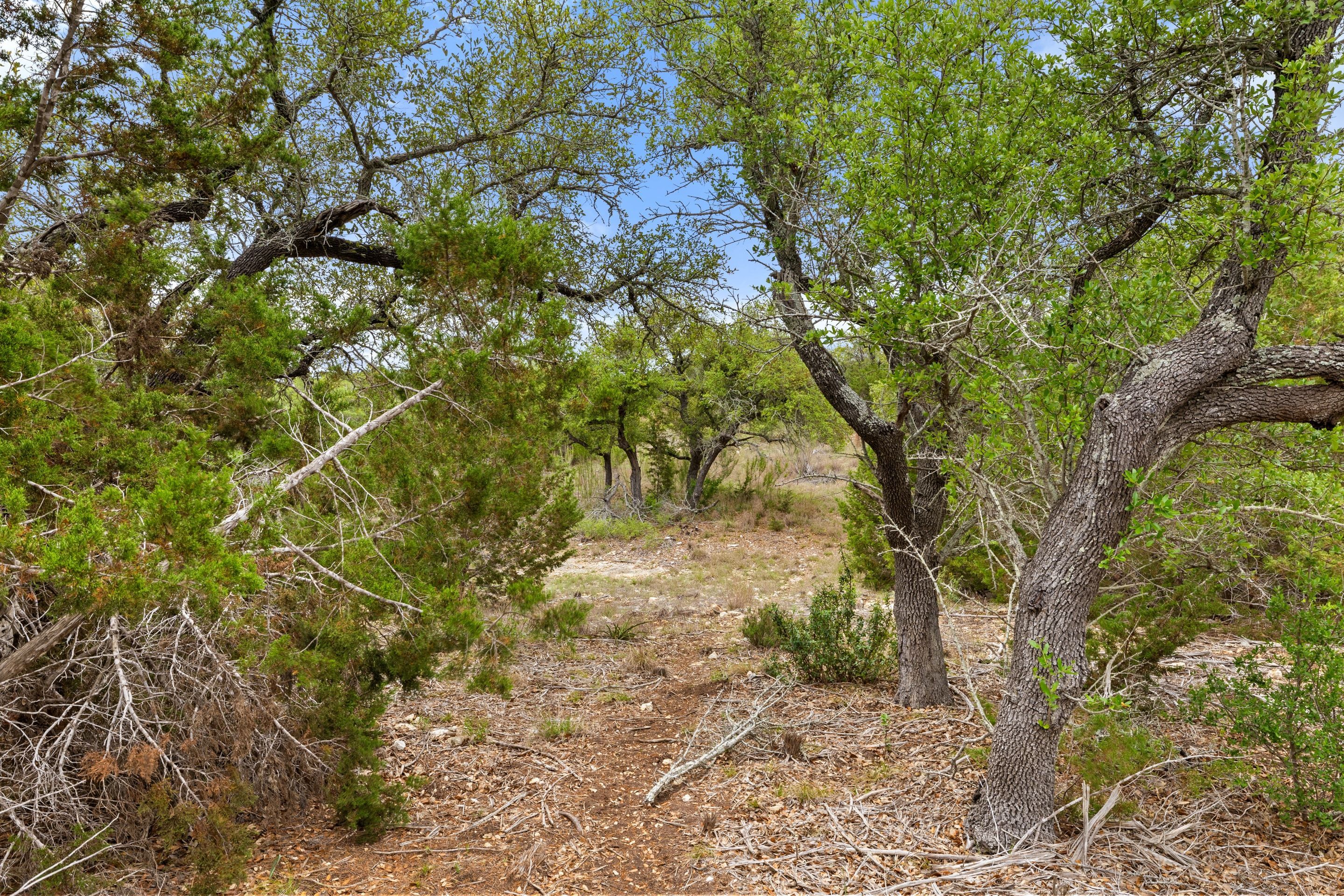  83 S Flat Rock Way - 5 Acre Lot in Gated Legacy Hills - 物件實景