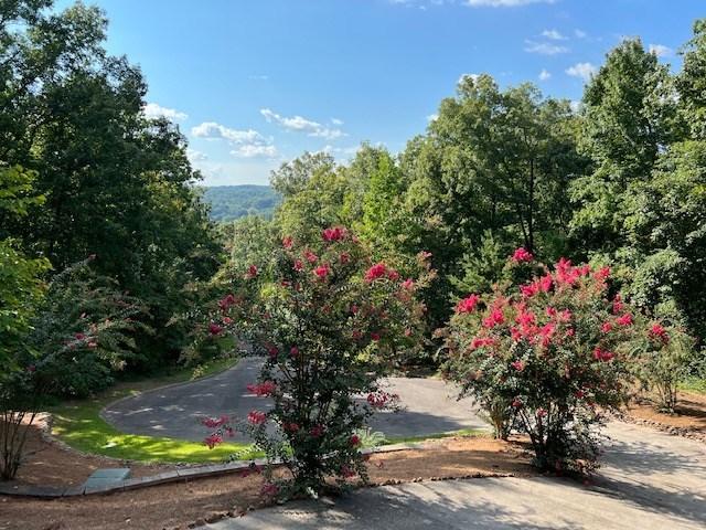 ROCKY FACE, Georgia, 30740, United States, 5 Bedrooms Bedrooms, ,5 BathroomsBathrooms,Residential,For Sale,1954720