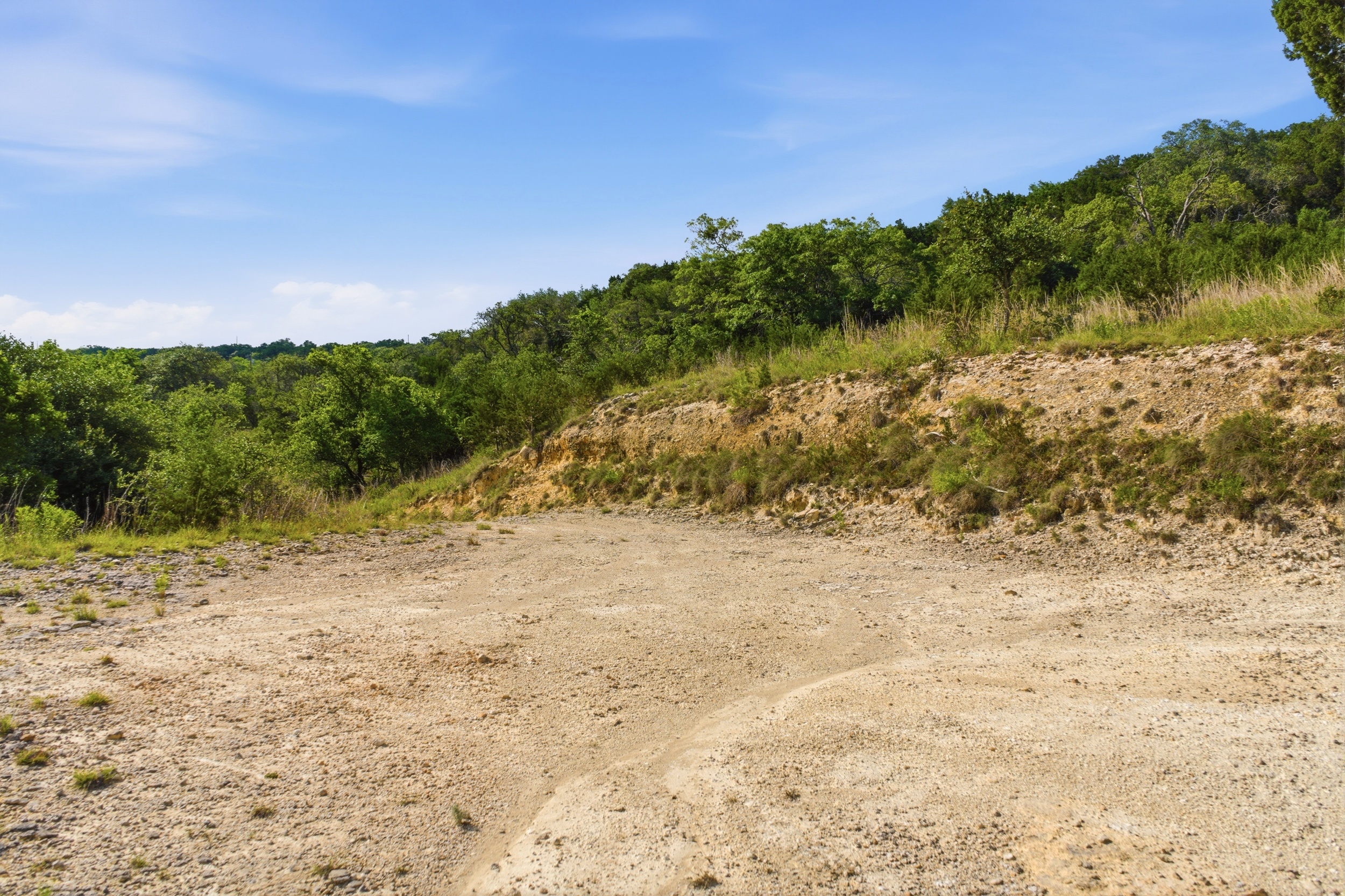  72+/- Acre Palmetto Creek Ranch - 物件實景
