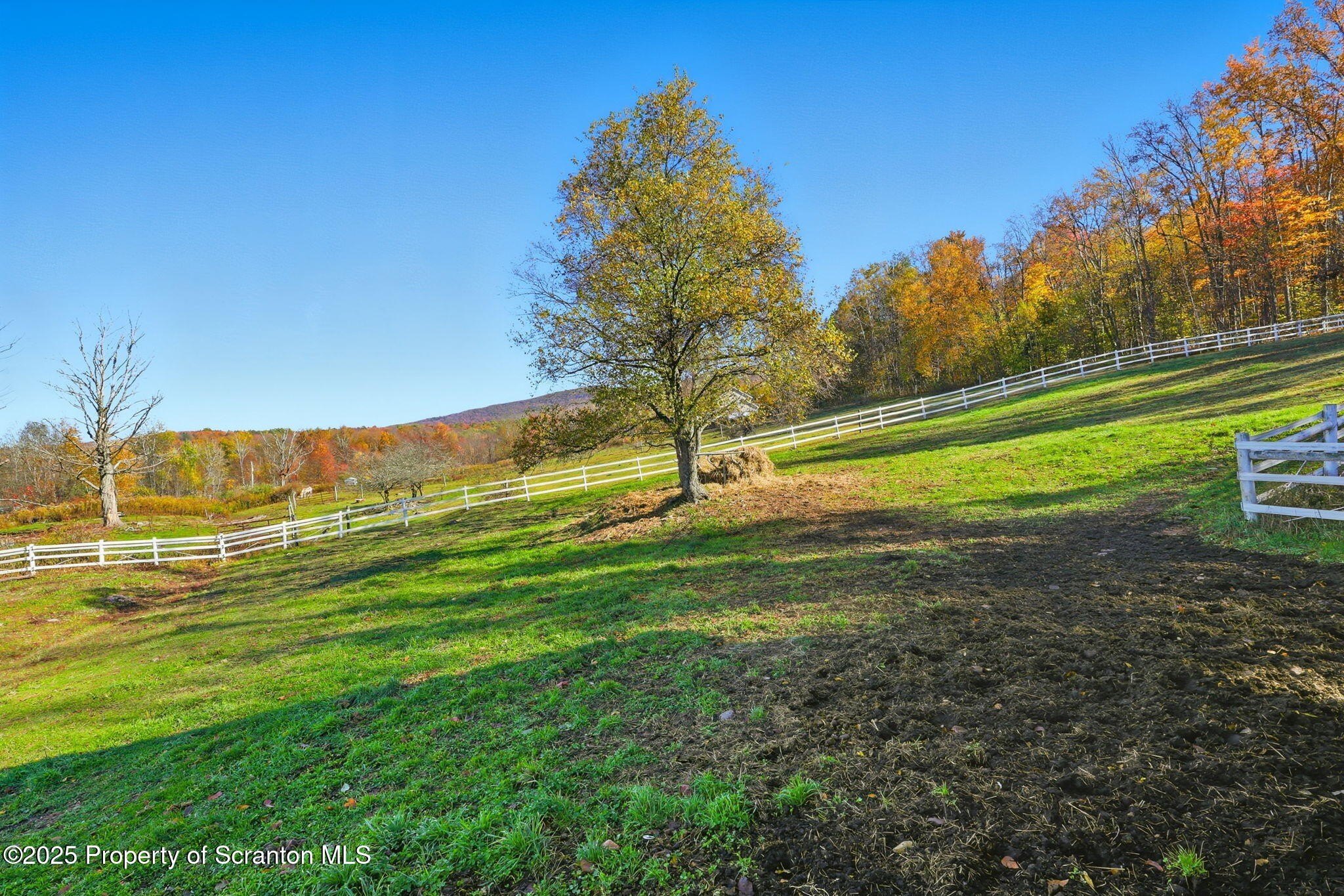 Clifford Twp, Pennsylvania, 18470, United States, 4 Bedrooms Bedrooms, ,3 BathroomsBathrooms,Residential,For Sale,1978908