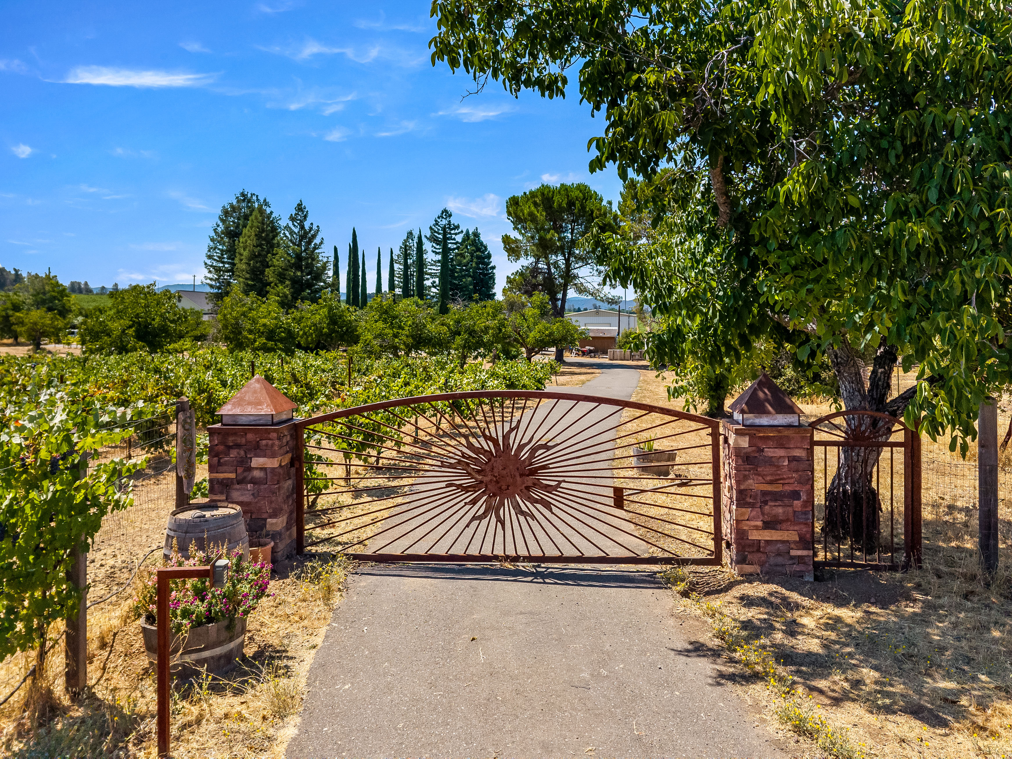  6675 Kelsey Creek Drive - 物件實景