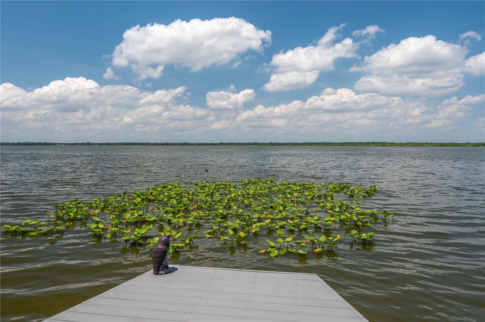 LAKE WALES, Florida, 33898, United States, 3 Bedrooms Bedrooms, ,3 BathroomsBathrooms,Residential,For Sale,1846295
