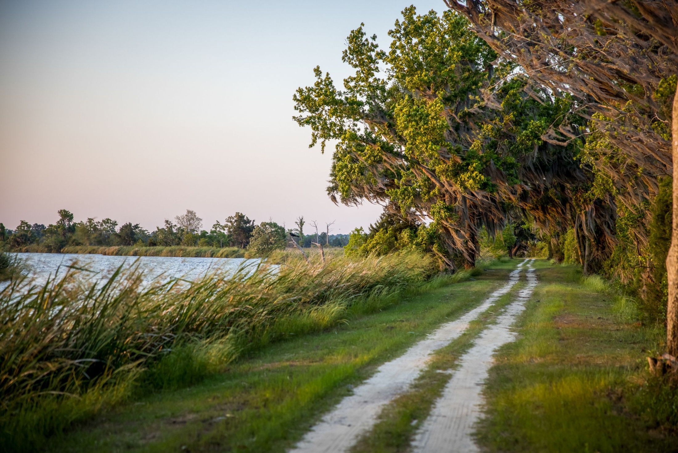  26 Riverview Drive, Richmond Hill - 物件實景