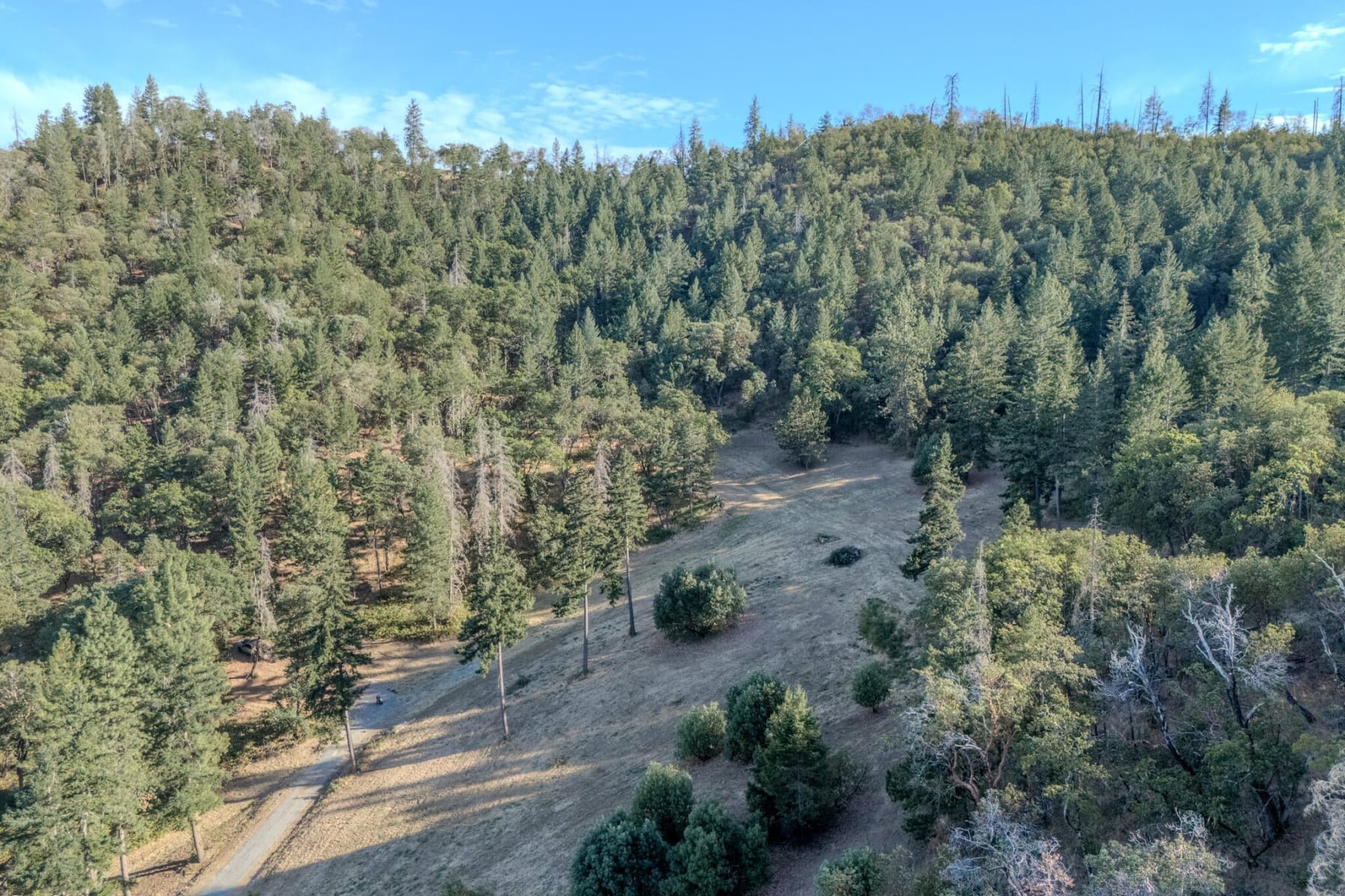  3591 S Stage Road #Lot 12 Medford, OR 97501 - 物件實景
