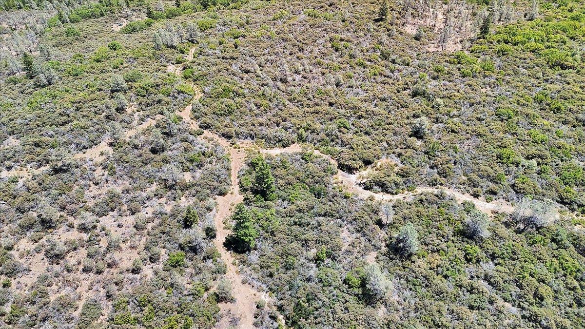 Oregon House, California, 95962, United States, ,Land,For Sale,1975767