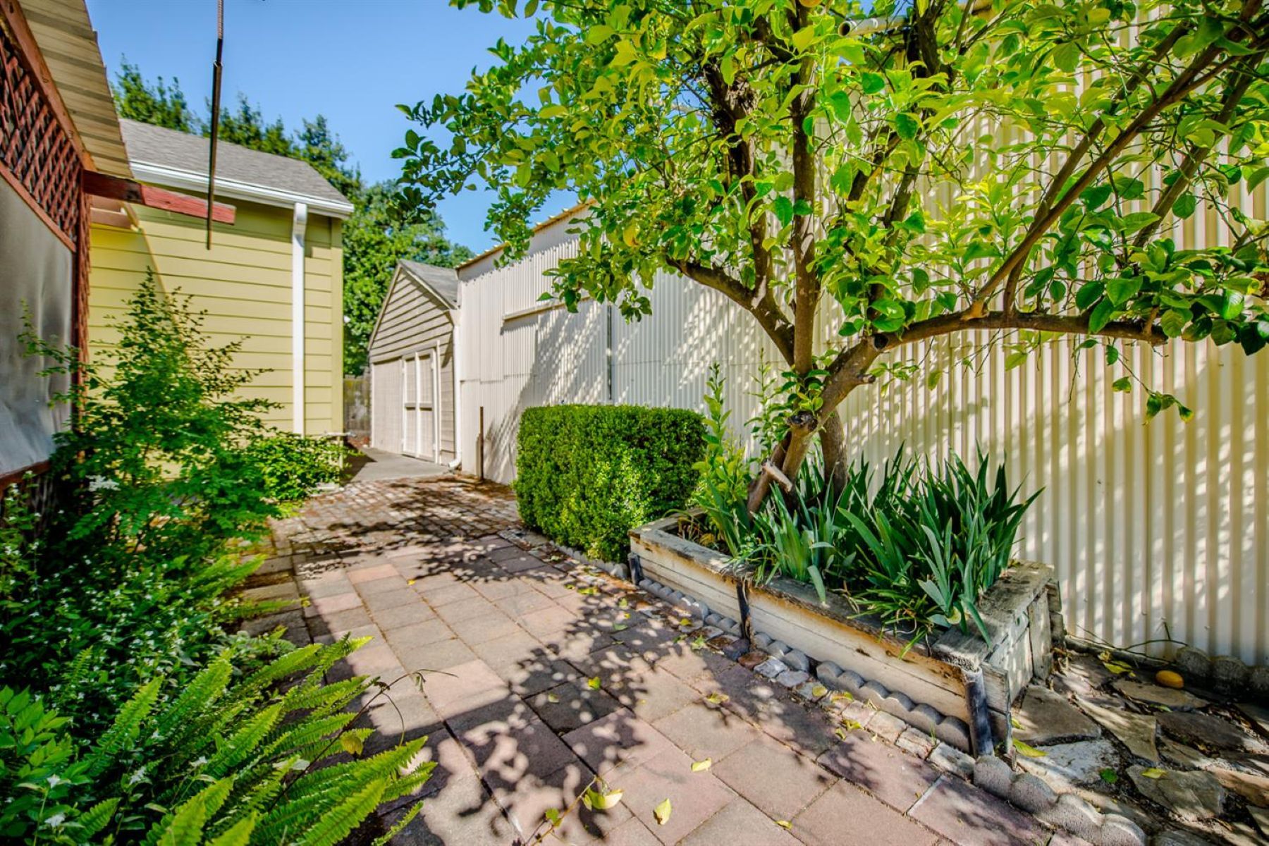  815 Woodland Avenue, Woodland, CA 95695 - 物件實景