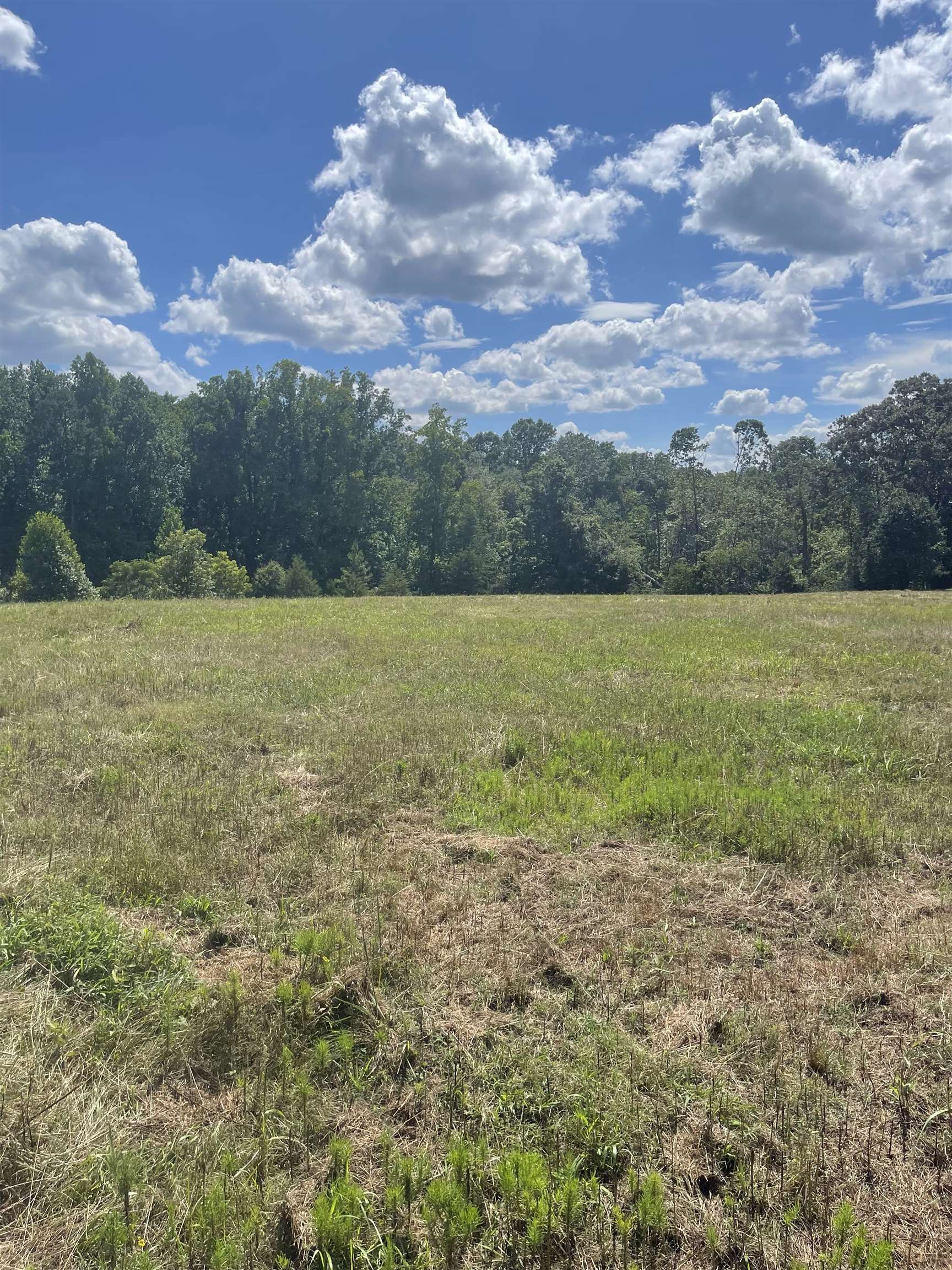 Cowpens, South Carolina, 29330, United States, 1 Bedroom Bedrooms, ,1 BathroomBathrooms,Residential,For Sale,1980416