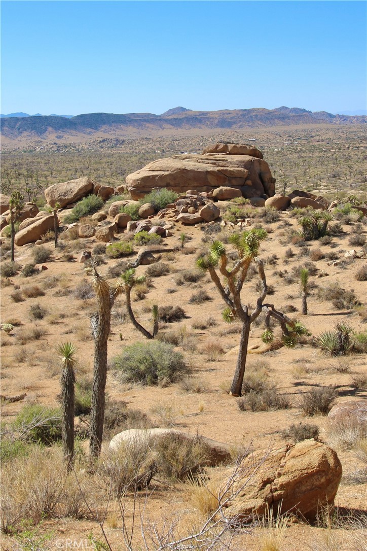 1 Gamma Gulch Rd Road, Pioneertown, California, 92268, United States, ,Land,For Sale,1 Gamma Gulch Rd Road,1434815