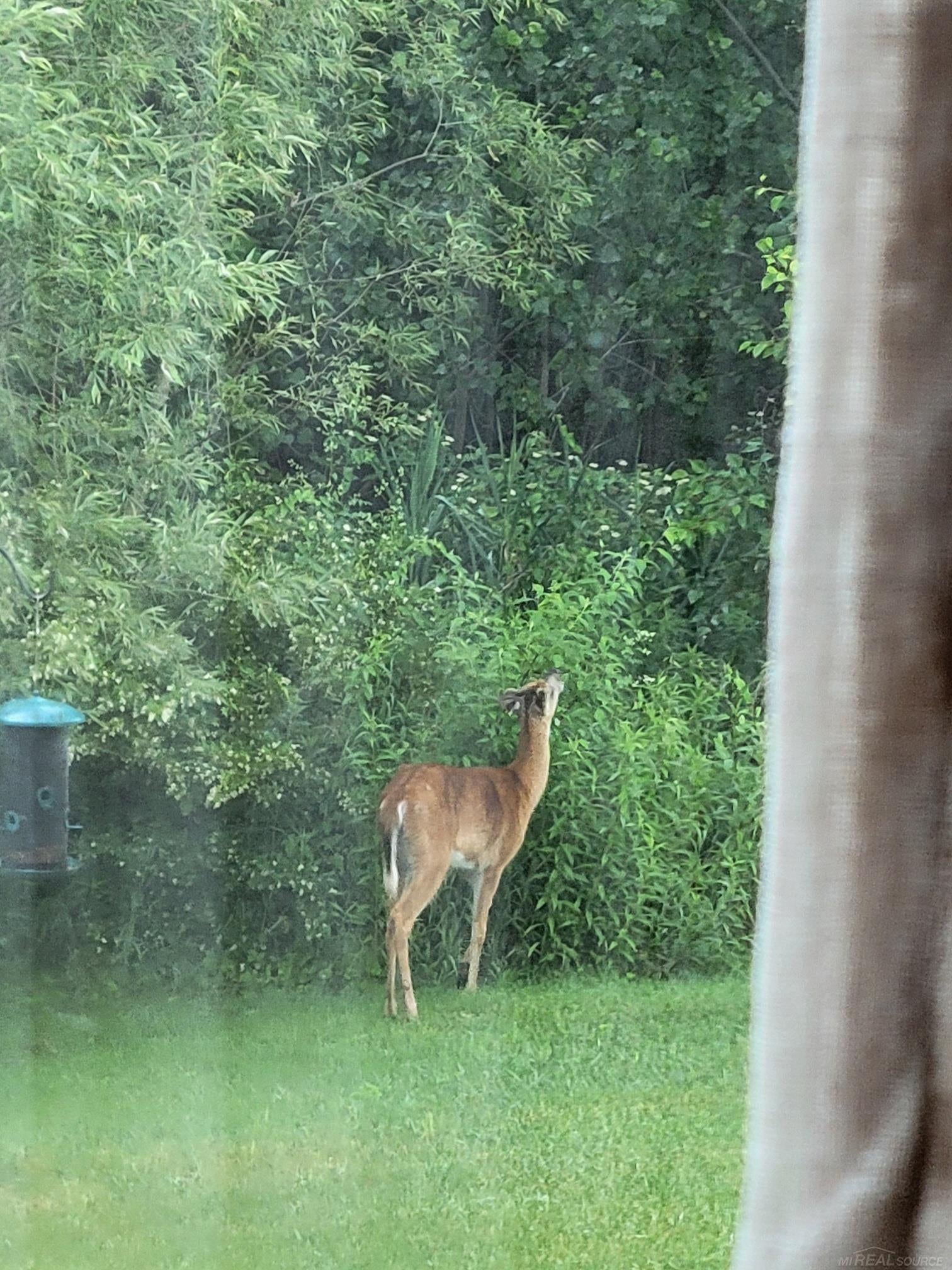 Macomb, Michigan, 48042, United States, 3 Bedrooms Bedrooms, ,3 BathroomsBathrooms,Residential,For Sale,2002873