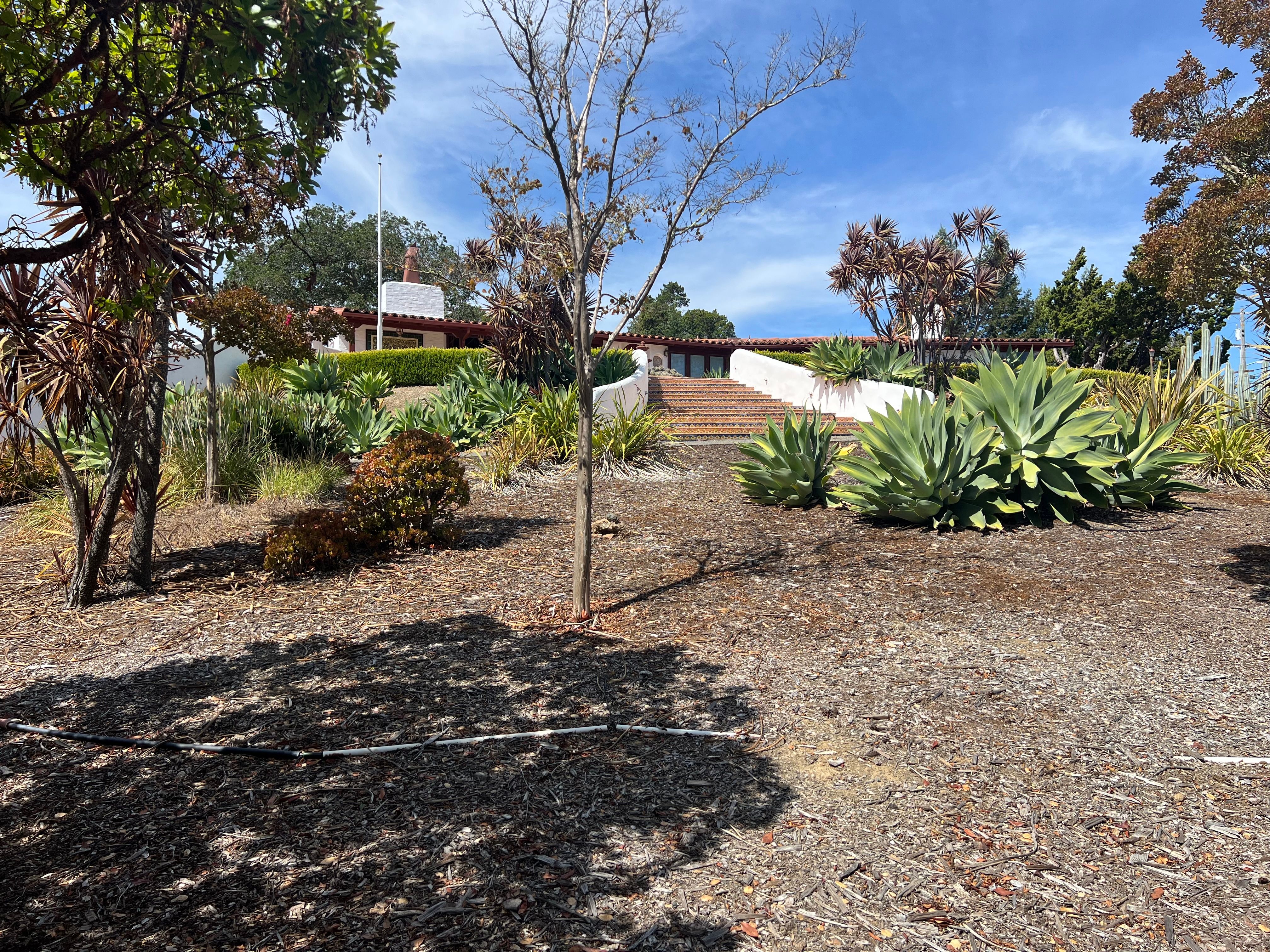  Artisan Hacienda-Style Home with Sweeping Bay to Tam Views - 物件實景