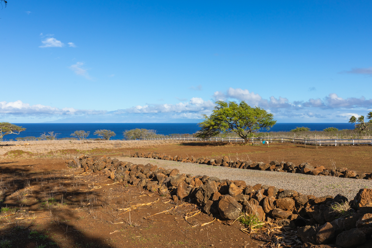 Hawi, Hawaii, 96719, United States, ,Land,For Sale,1997291