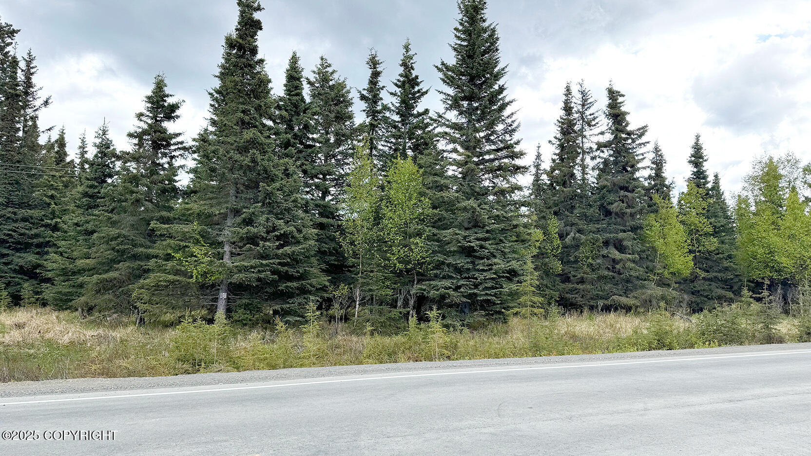 Kasilof, Alaska, 99610, United States, ,Land,For Sale,1975582