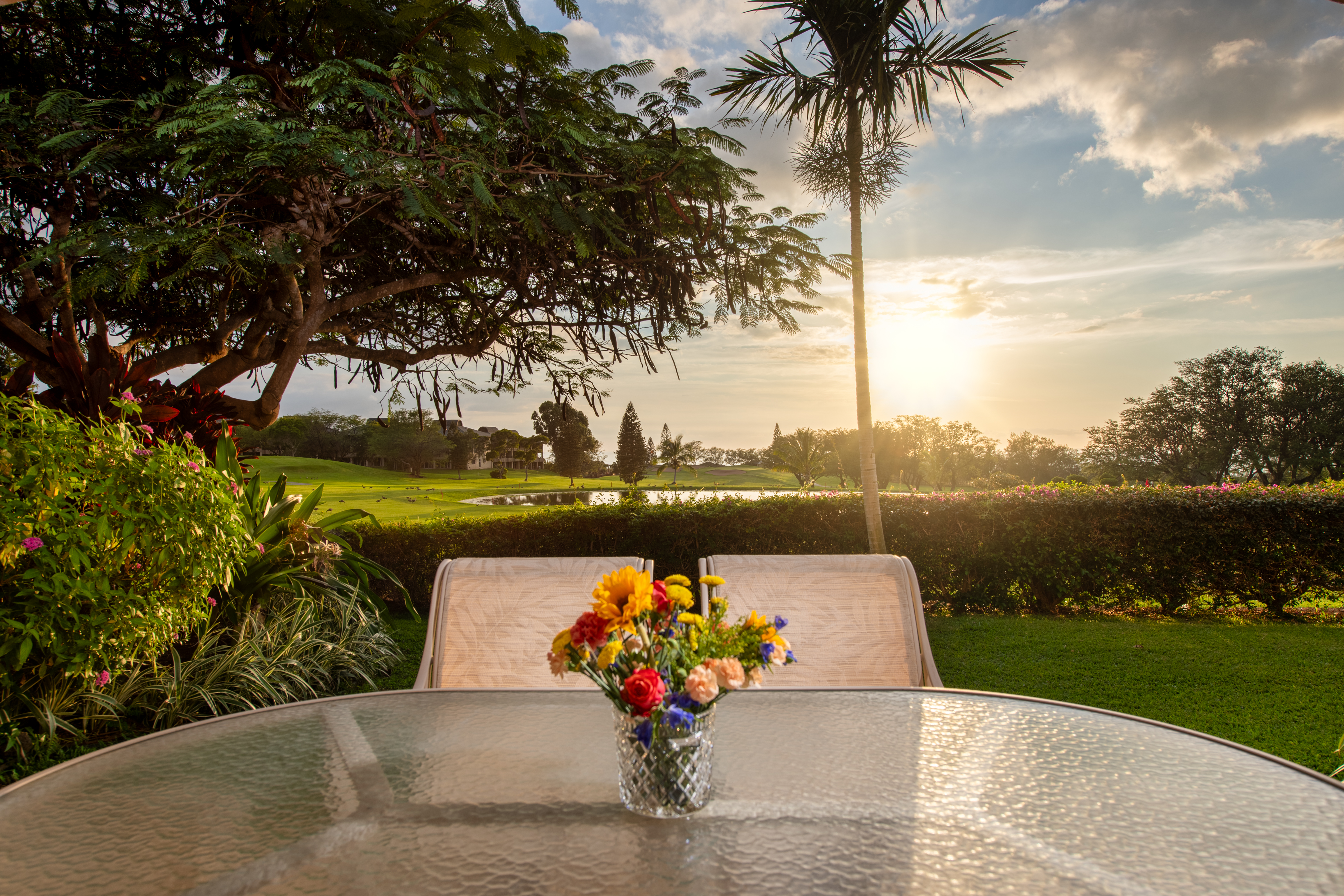  68-1754 Melia Street, Waikoloa Village, HI 96738 - 物件實景