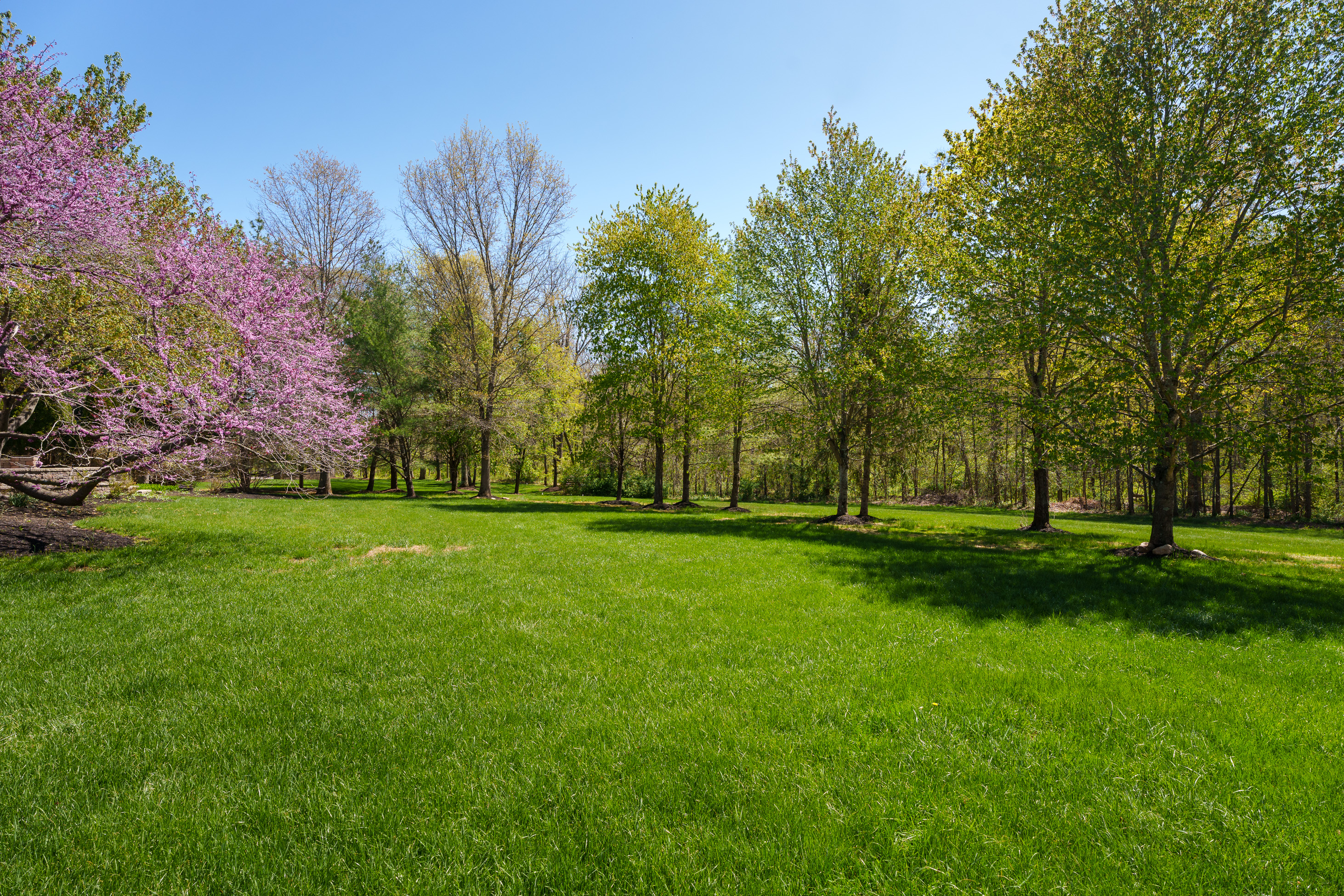  Stunning Belle Mead Estate with Private Theater, Gym, and Designer Finishes - 物件實景