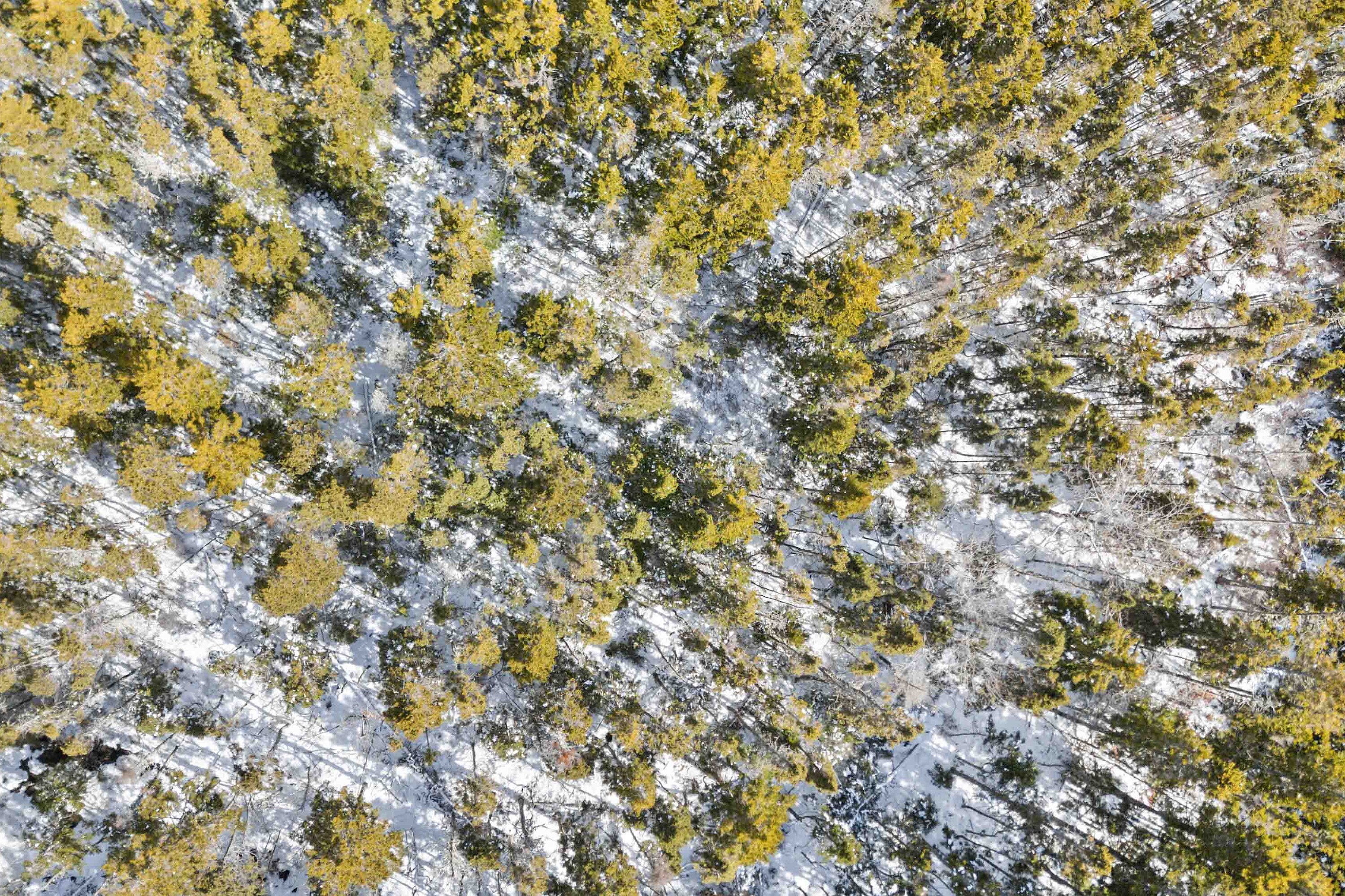  Lower Rose Bay, - 物件實景