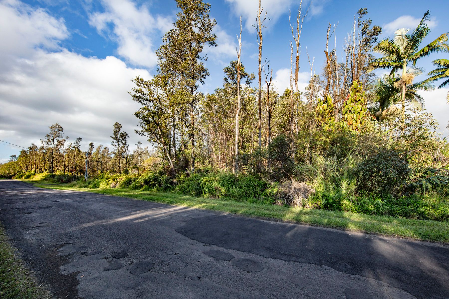  11-2884 Hibiscus Street, Mountain View, HI, 96771 - 物件實景