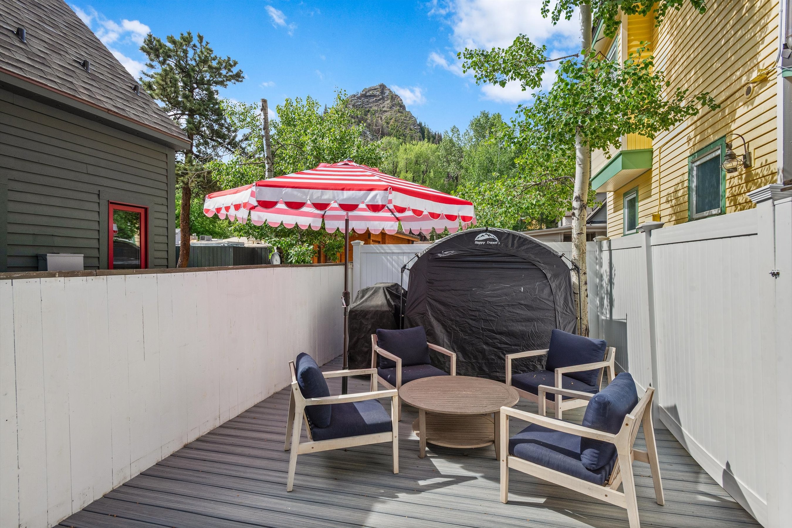  735 West Bleeker Street, Aspen, CO 81611 - 物件實景