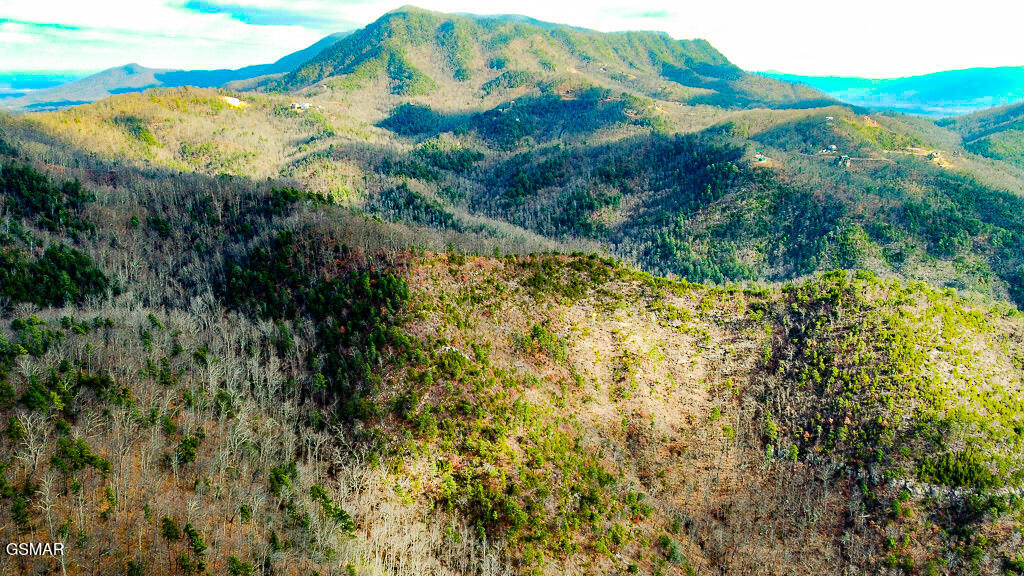 Sevierville, Tennessee, 37876, United States, ,Land,For Sale,2008093