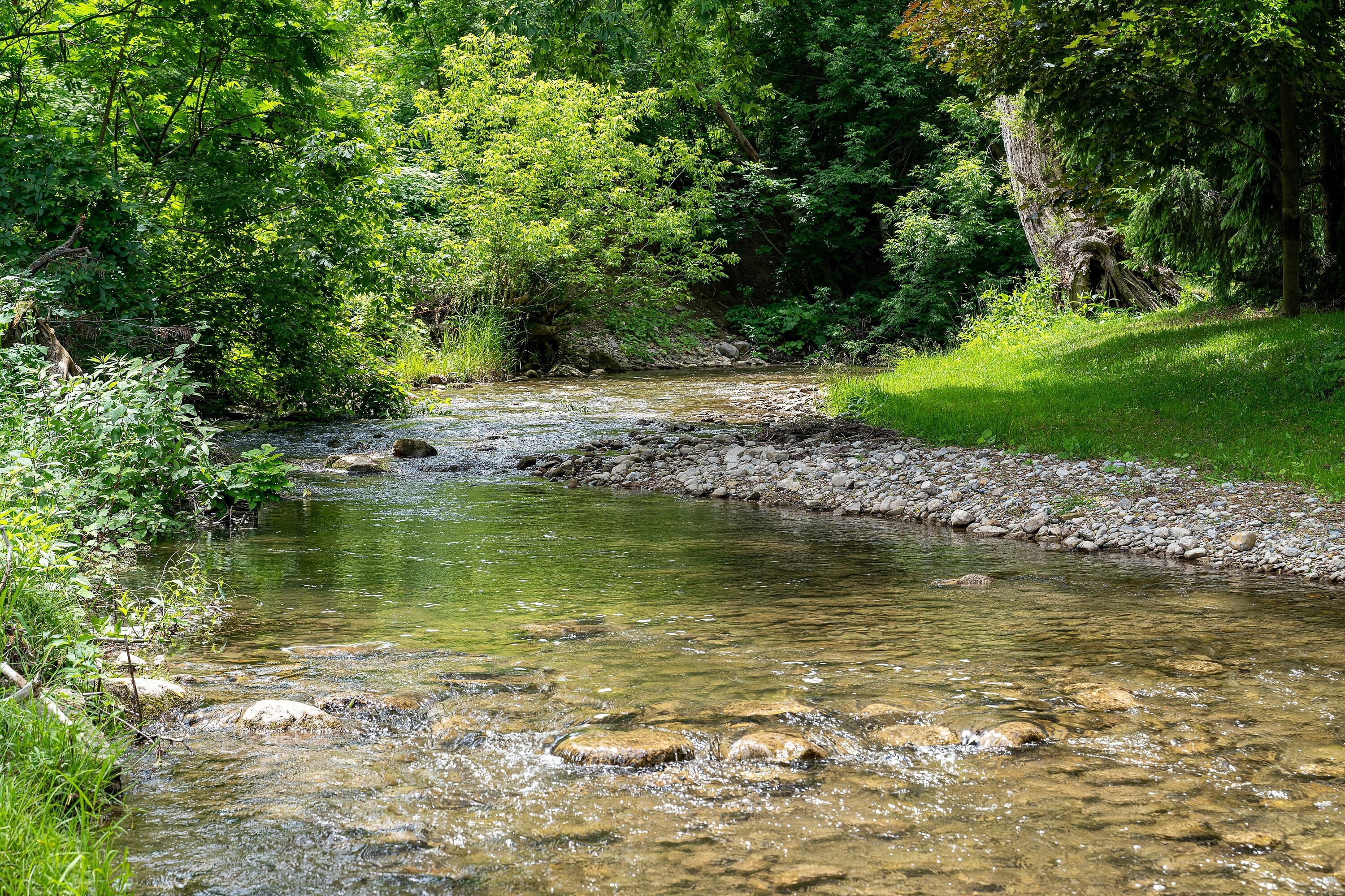  1.77-Acre Sanctuary - 物件實景
