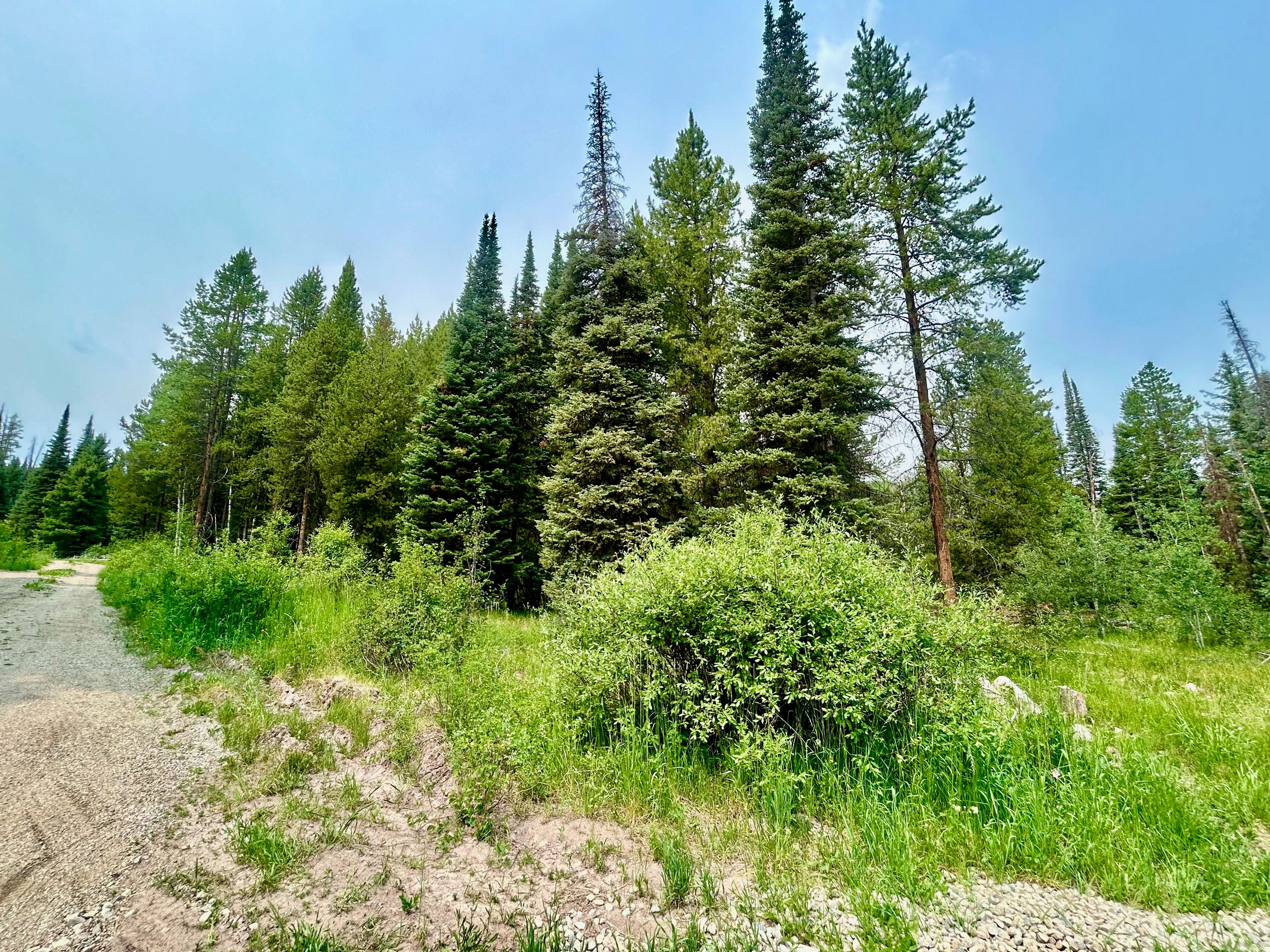  Lot 38 Colt Trail, Oak Creek, CO, 80467 - 物件實景
