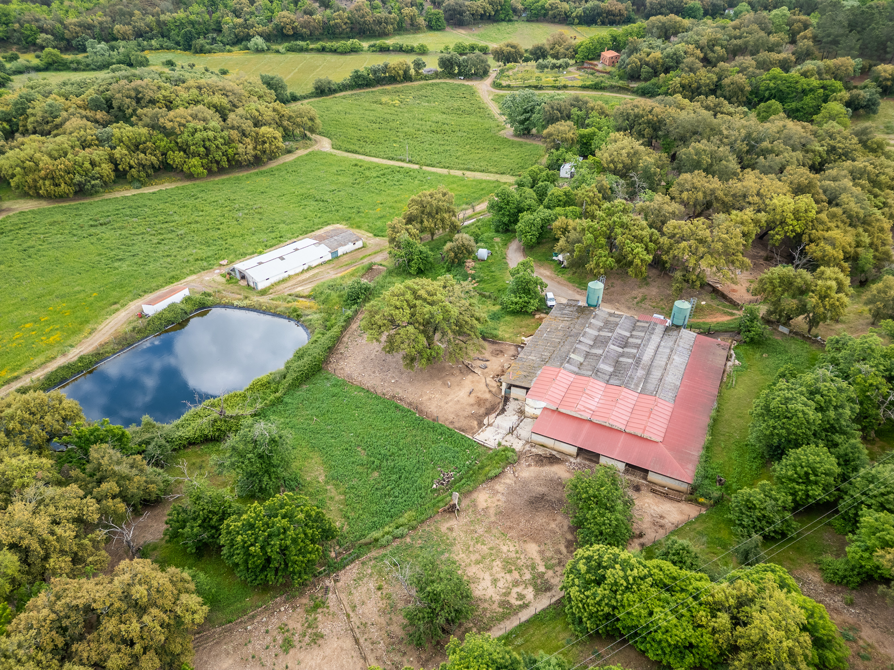  Cattle, equestrian, agricultural, and ecological farm in Aracena