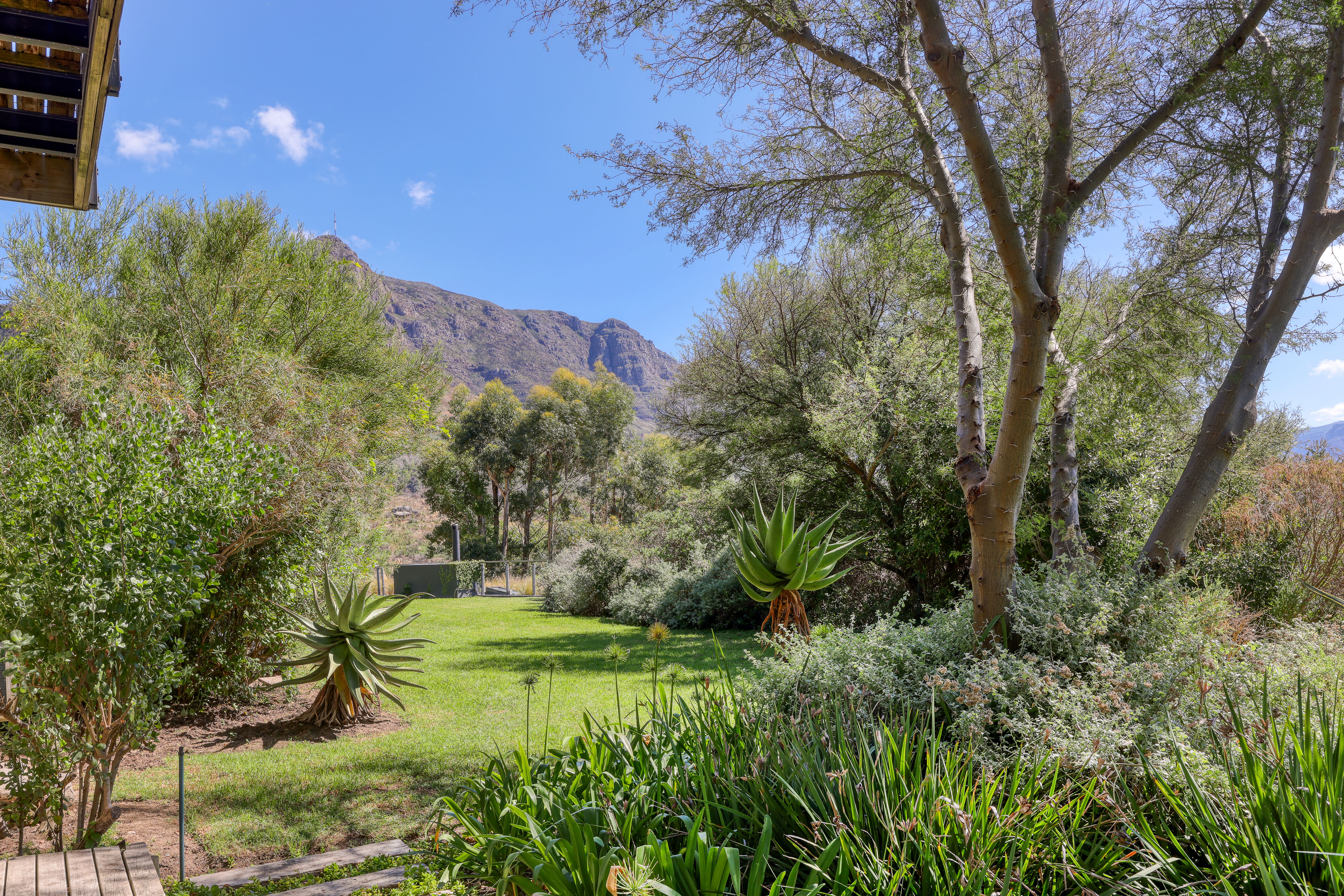  An Oasis of Calm & Reflection - 物件實景