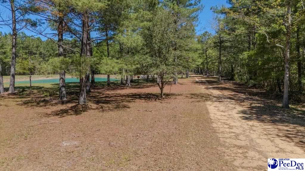 1315 Hill Harrell Road, Effingham, South Carolina, 29541-3179, United States, ,Land,For Sale,1315 Hill Harrell Road,1501598
