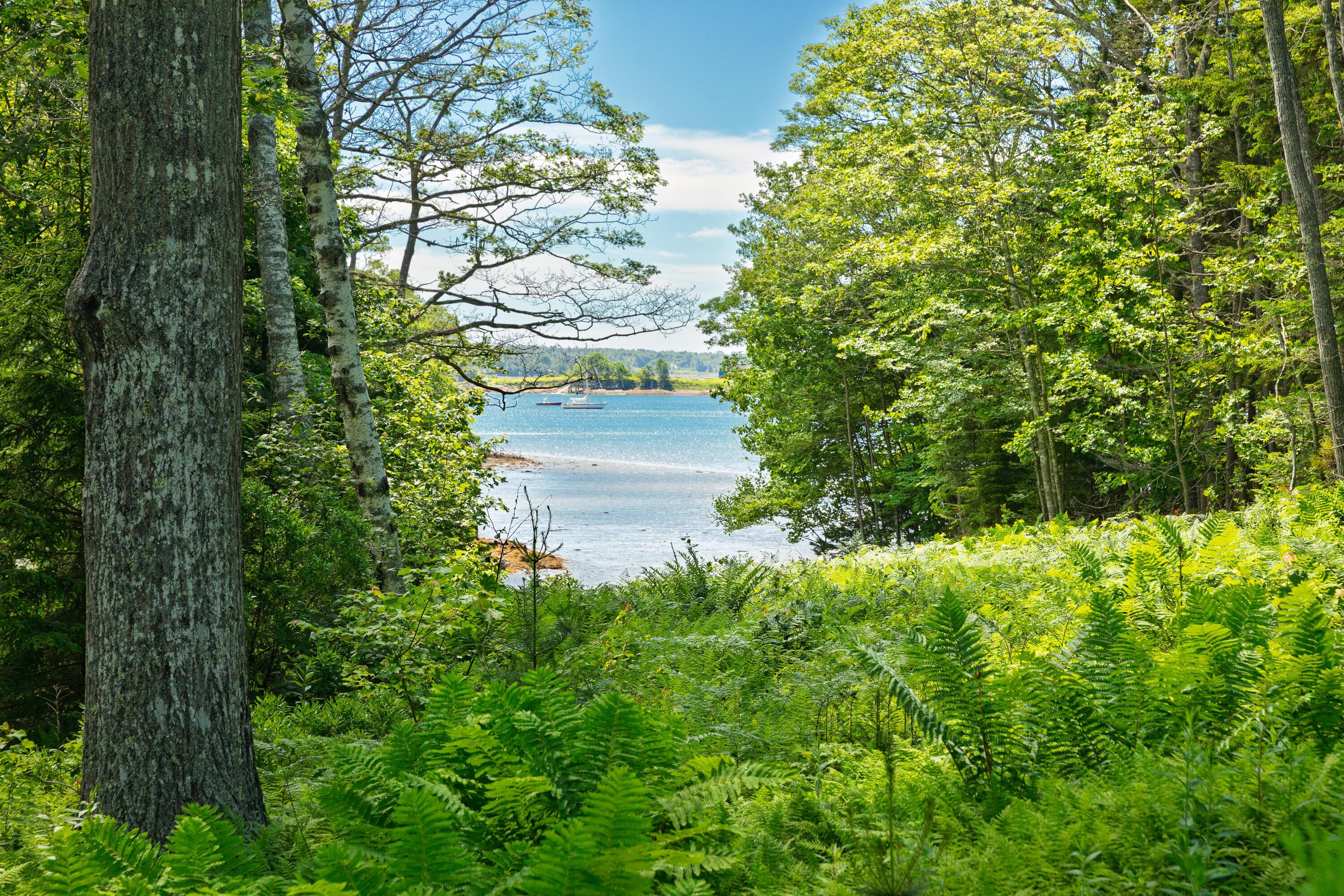 766 Pleasant Point Road - 物件實景