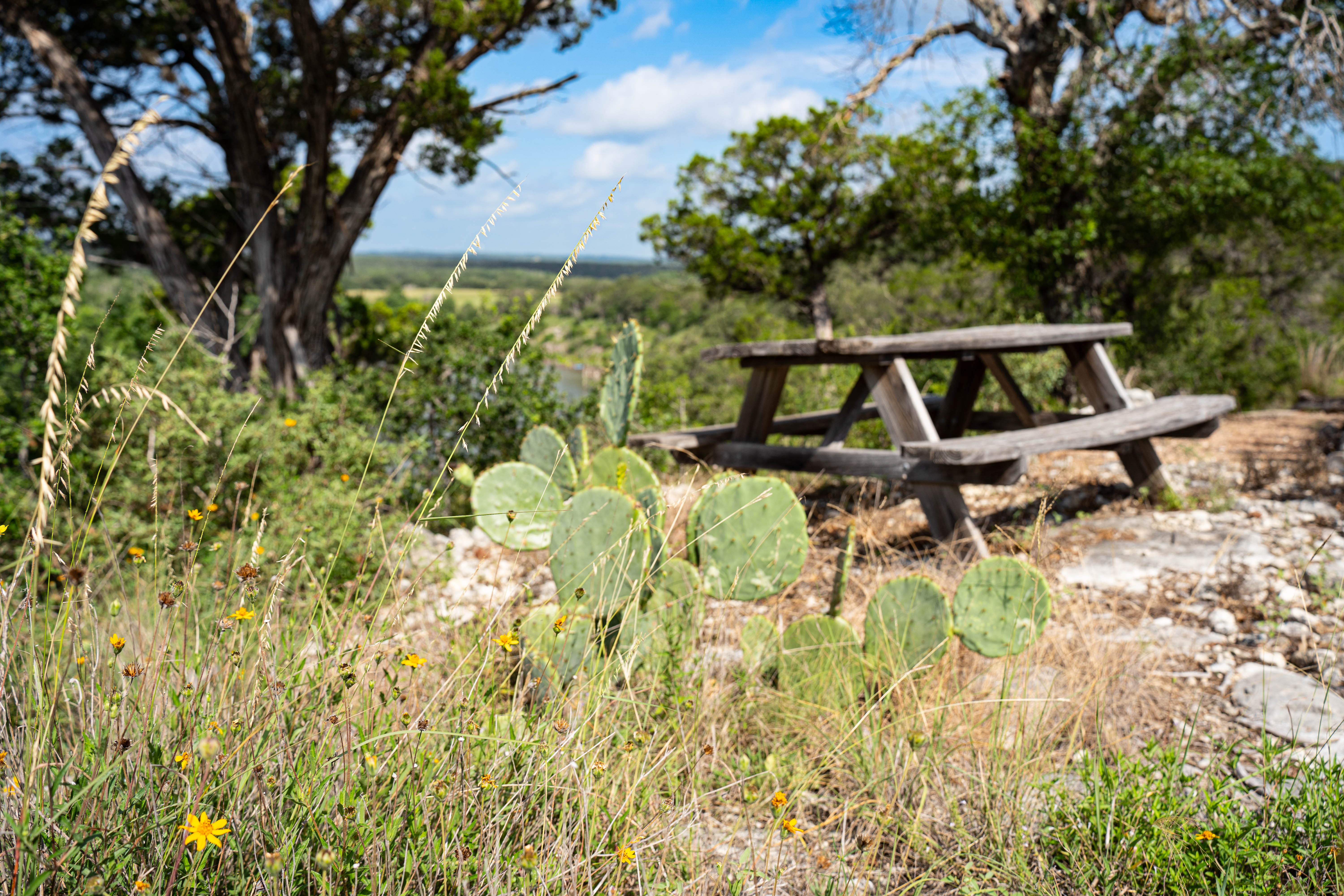  Refined Hill Country Living on the Guadalupe - 物件實景