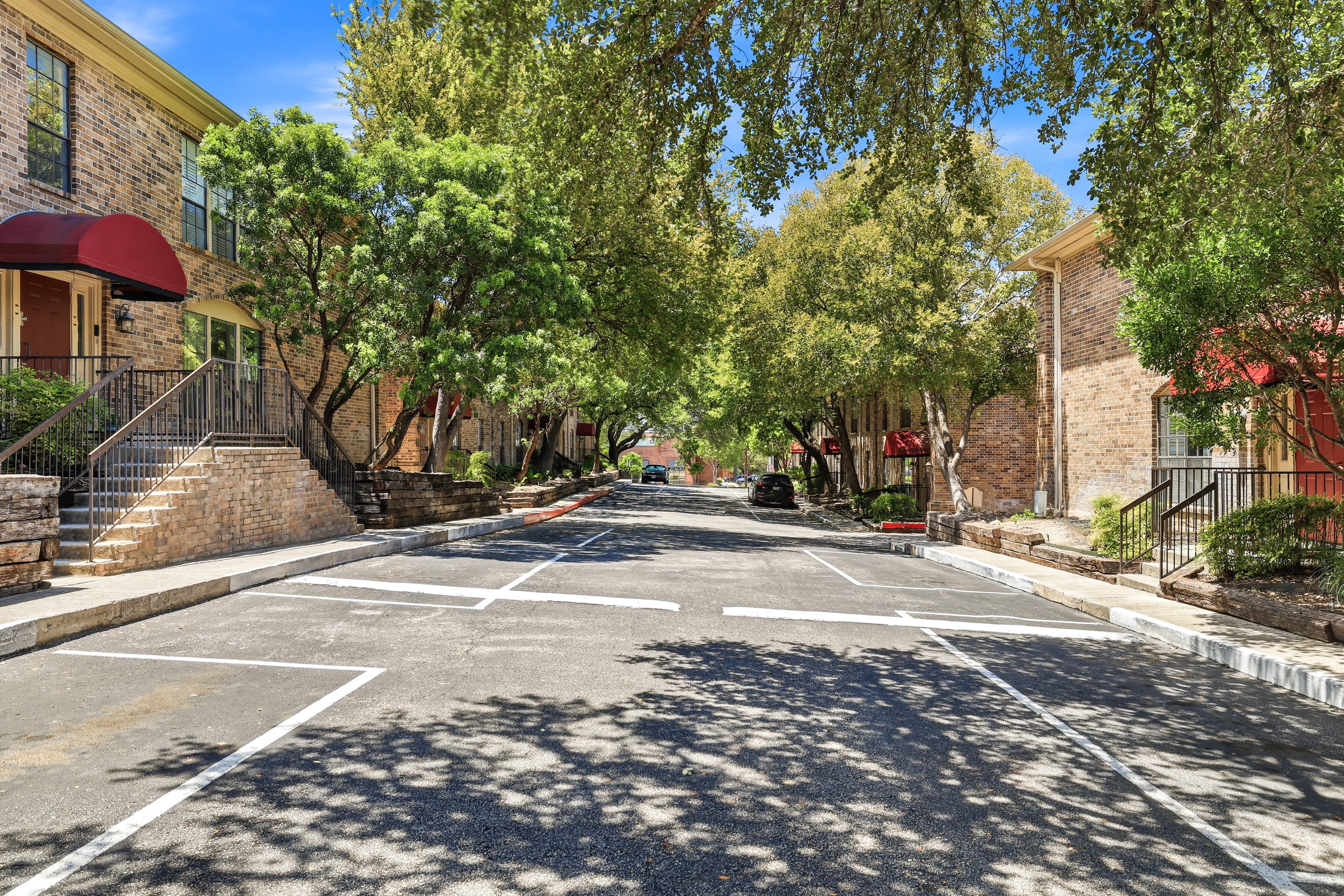  A Smart Buy in Alamo Heights - 物件實景