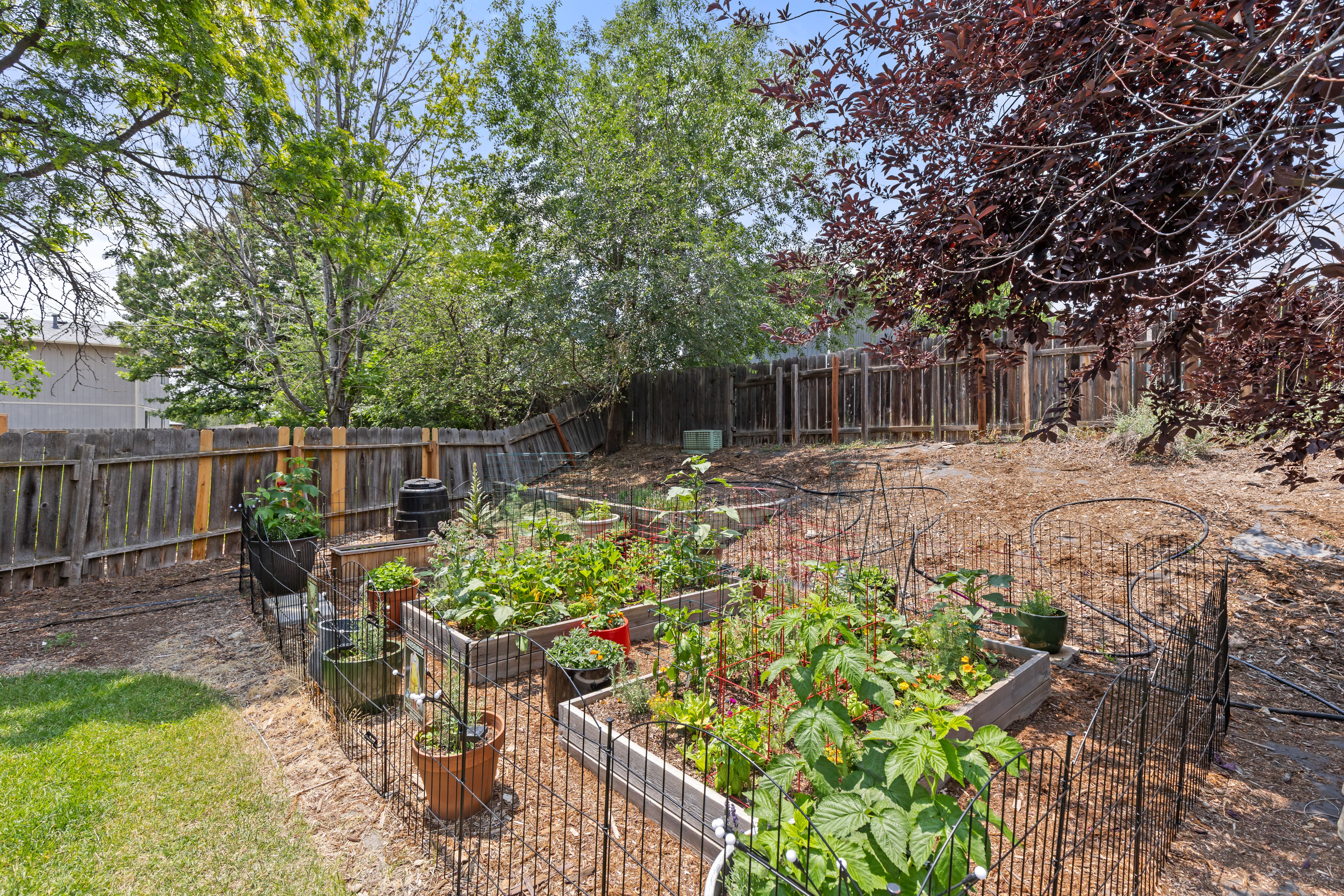  701 Drift Place, Longmont, CO 80504 - 物件實景
