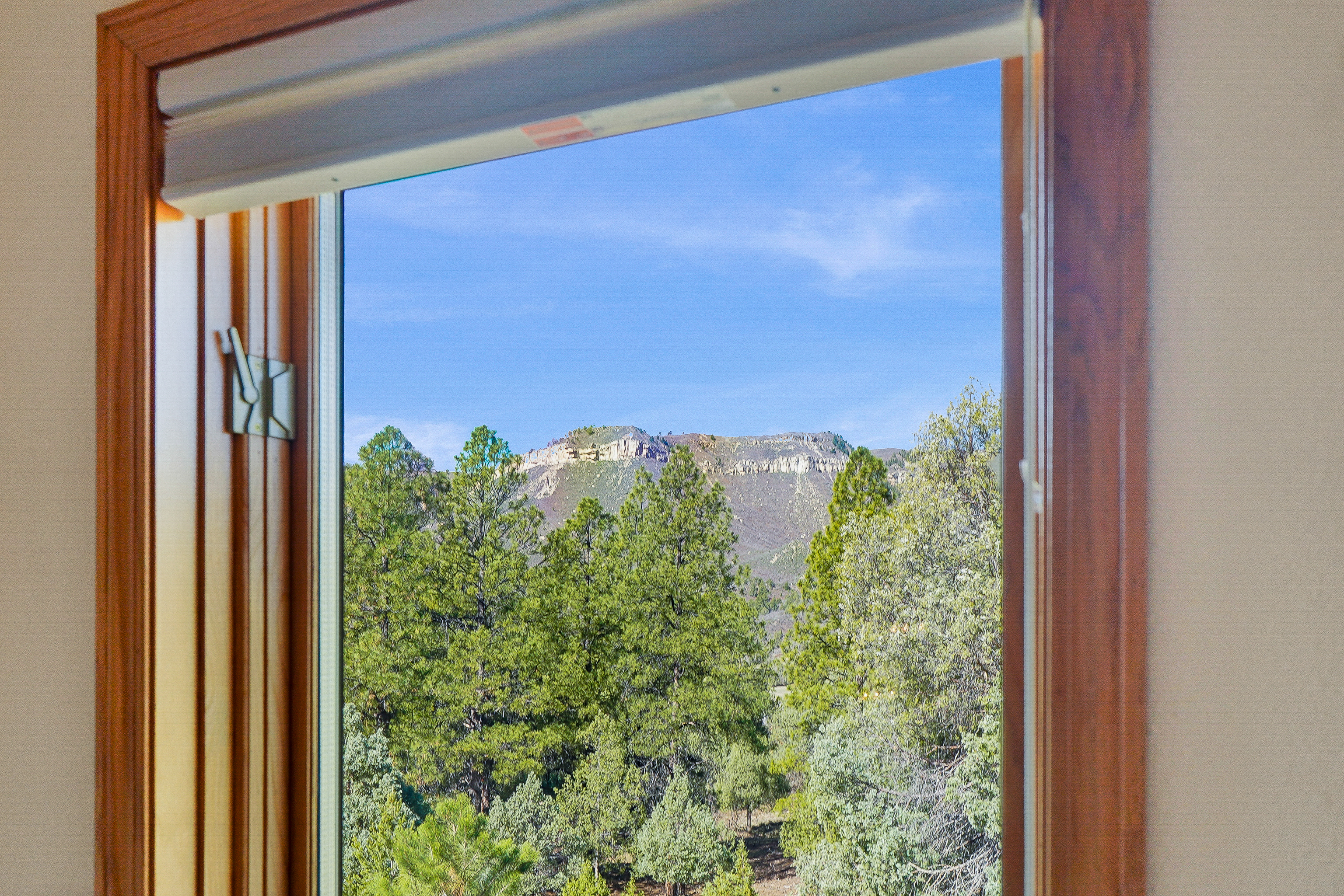  25 Perins Vista Drive, Durango, CO 81301 - 物件實景