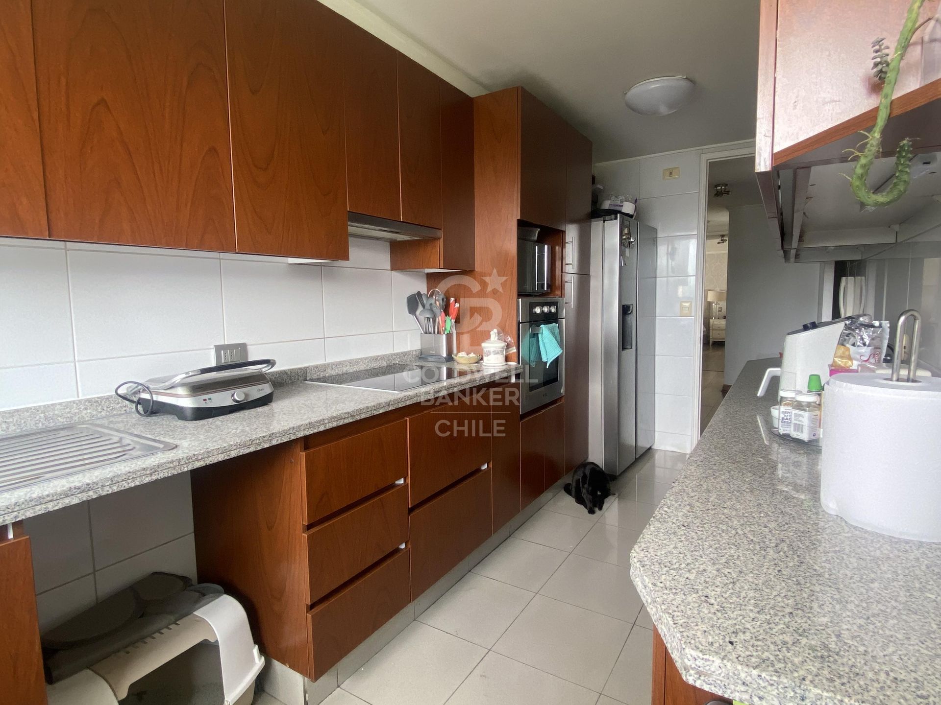 Las Condes, Chile, 4 Bedrooms Bedrooms, ,3 BathroomsBathrooms,Residential,For Sale,1966601