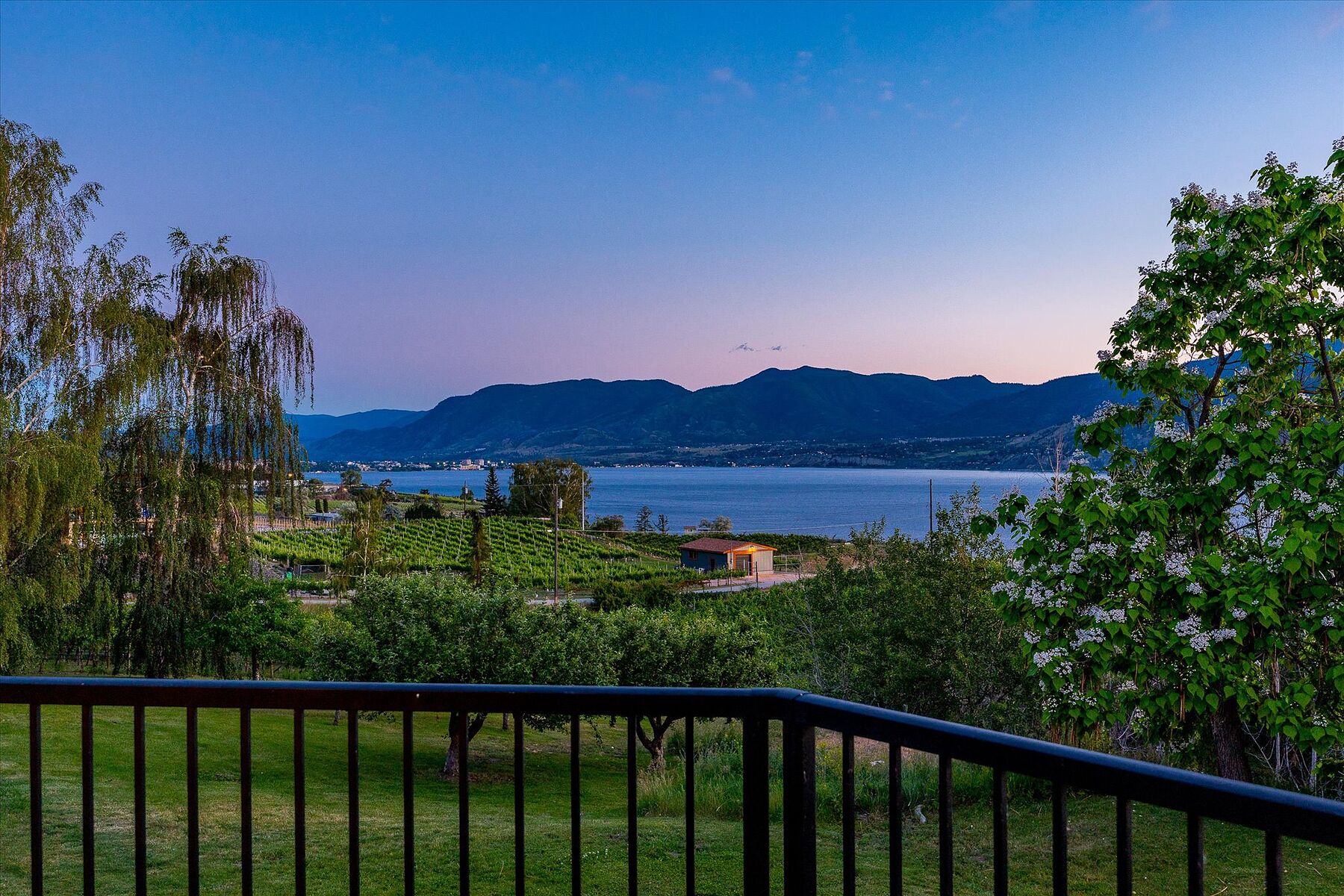  Multiple Homes on a Vineyard - 物件實景