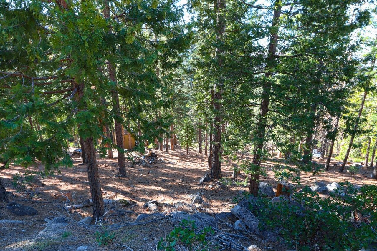 Yosemite West, California, 95389, United States, ,Residential,For Sale,1855046