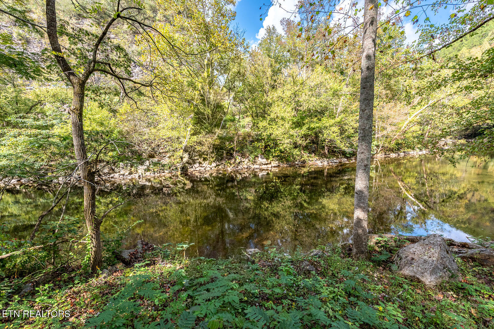 Townsend, Tennessee, 37882, United States, 1 Bedroom Bedrooms, ,1 BathroomBathrooms,Residential,For Sale,1973963