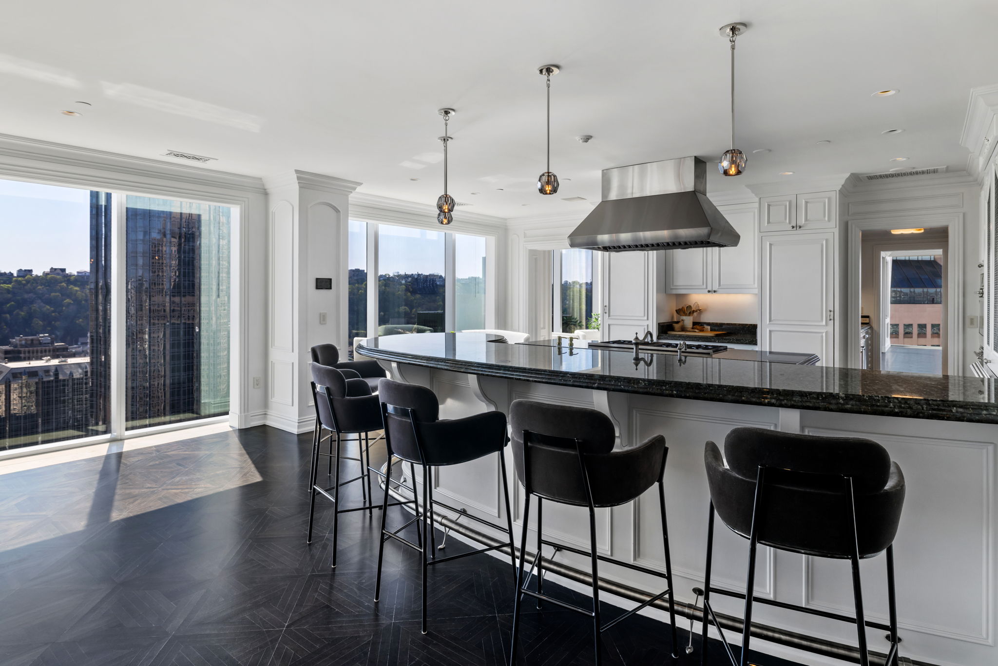  Fairmont Residence, Penthouse, Pittsburgh, PA 15222 - 物件實景