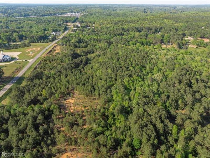 Minden, Louisiana, 71055, United States, ,Land,For Sale,1768411