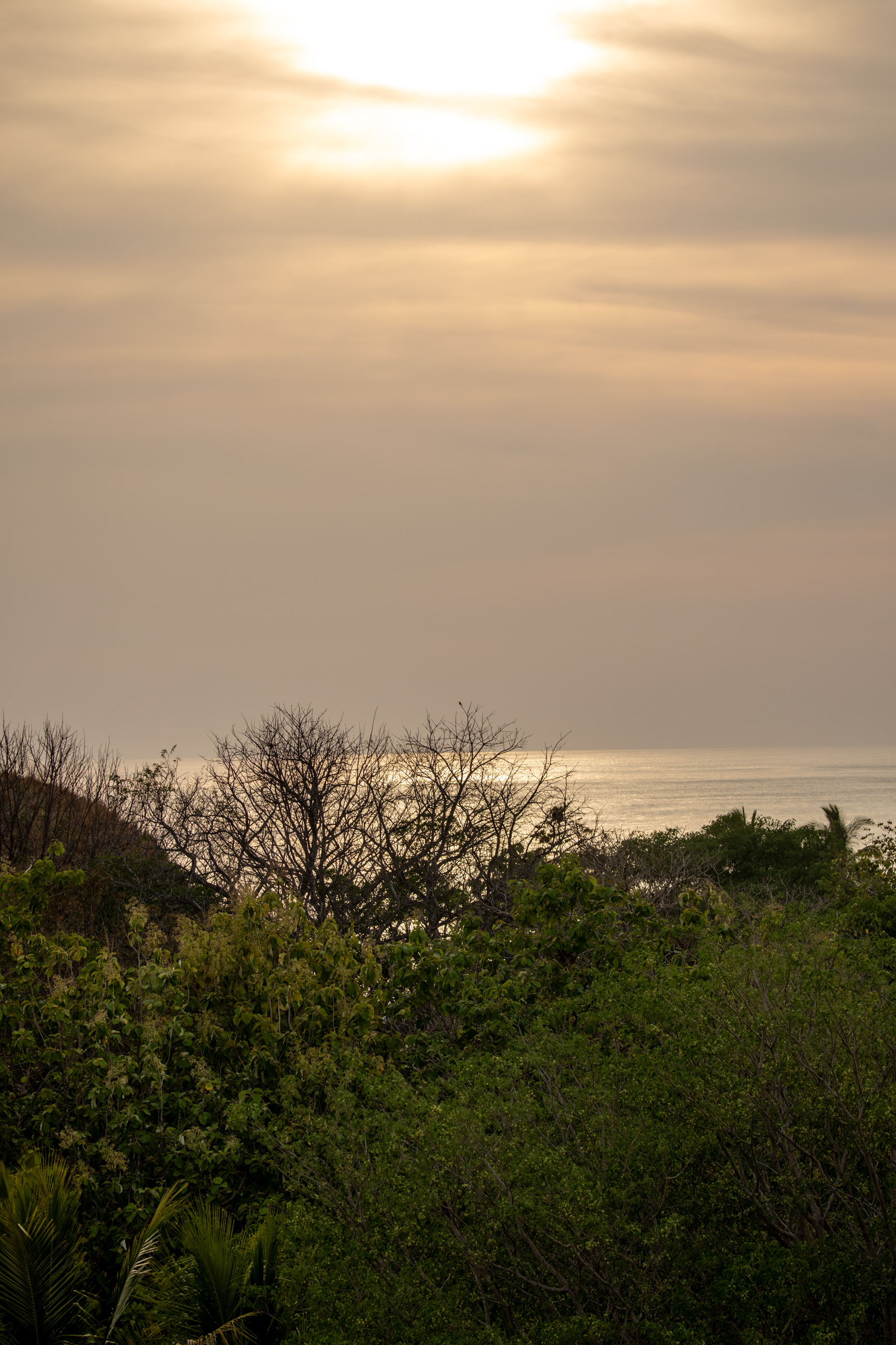 Nosara, Guanacaste, CR, 16 Bedrooms Bedrooms, ,9 BathroomsBathrooms,Residential,For Sale,1587974