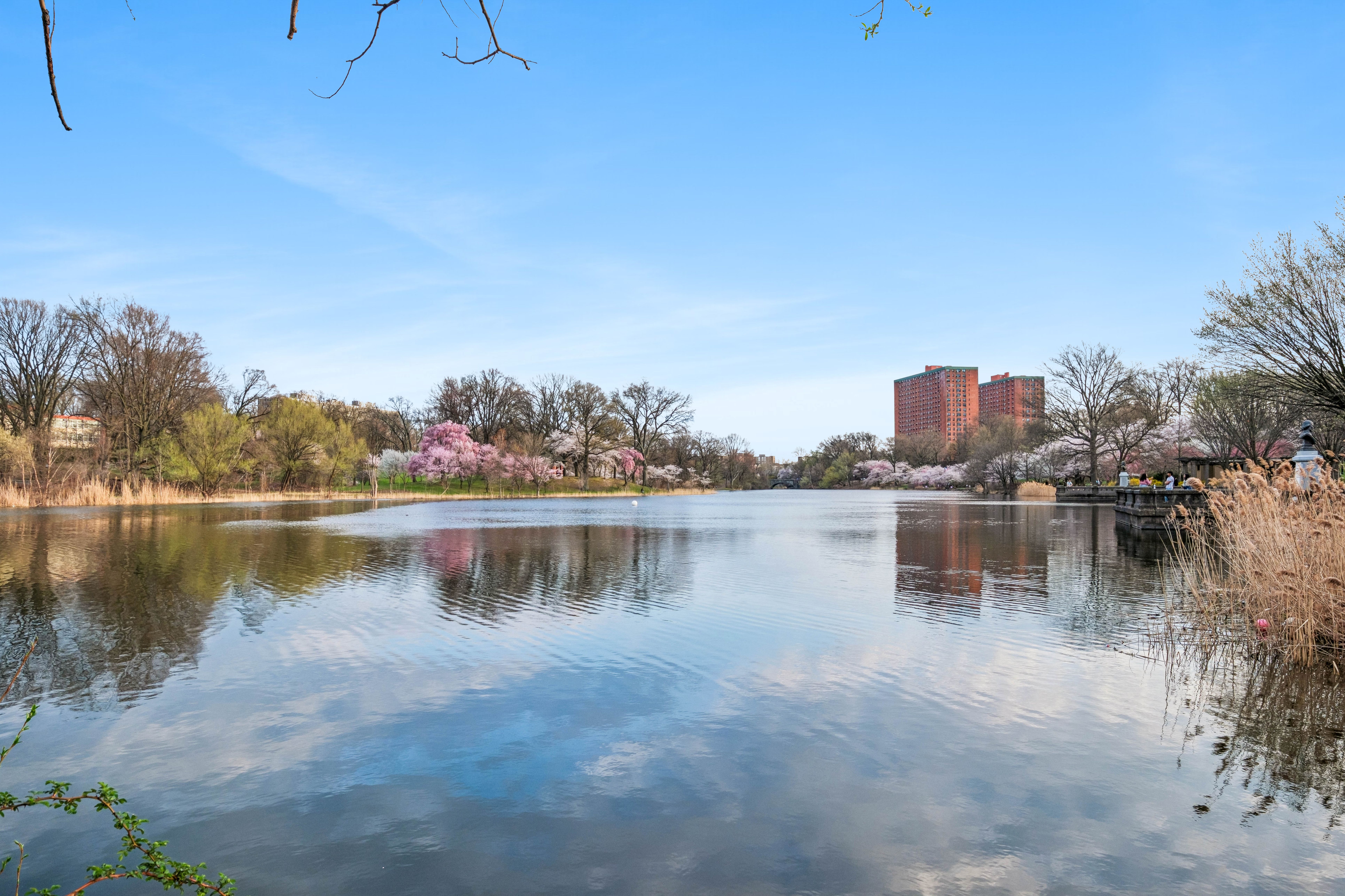  363-377 Mount Prospect Avenue, Newark, NJ 07104 - 物件實景