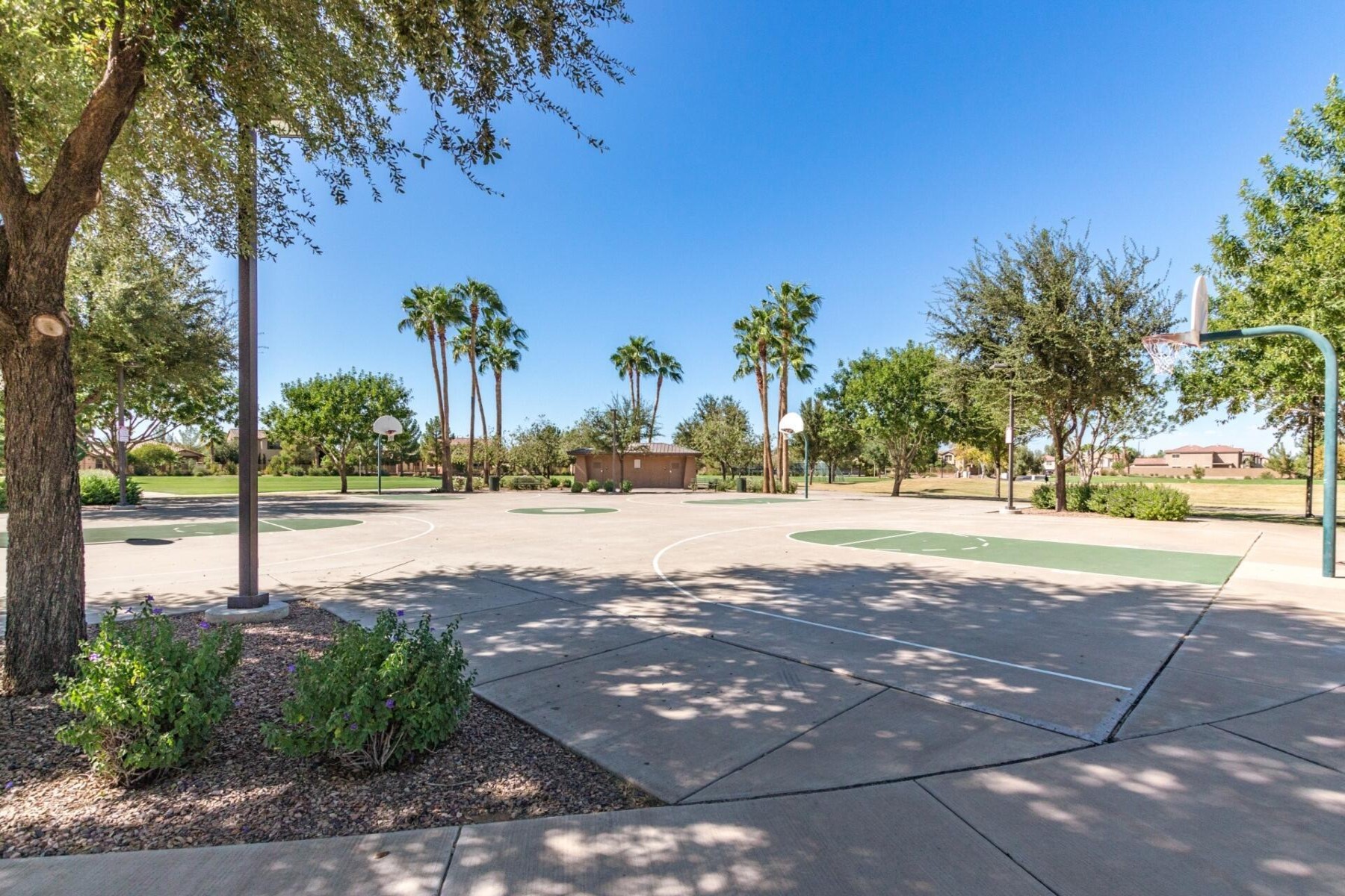  1271 E Canyon Creek Drive  Gilbert, AZ - 物件實景