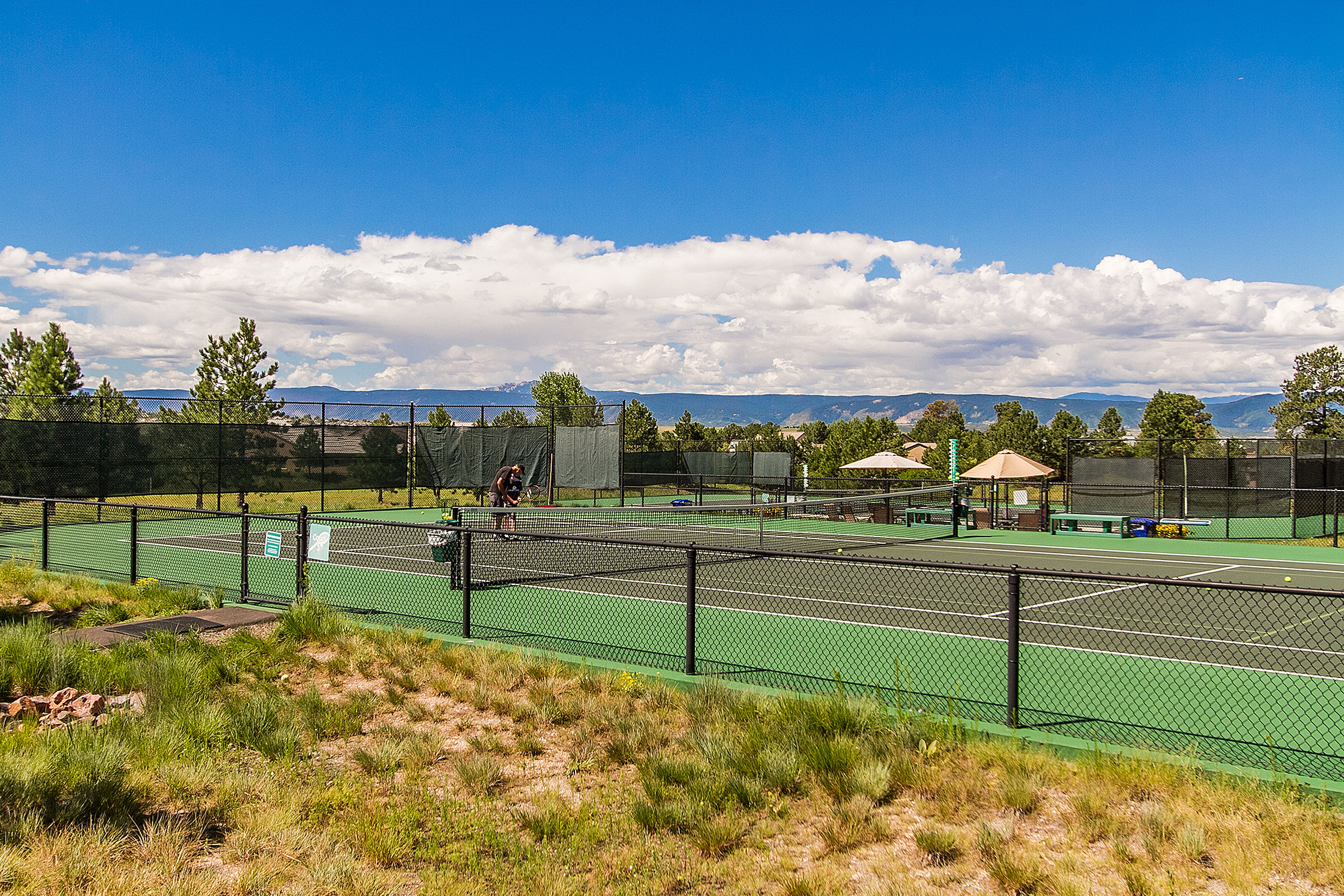  2237 Ridge Plaza Drive, Castle Rock, CO 80108 - 物件實景