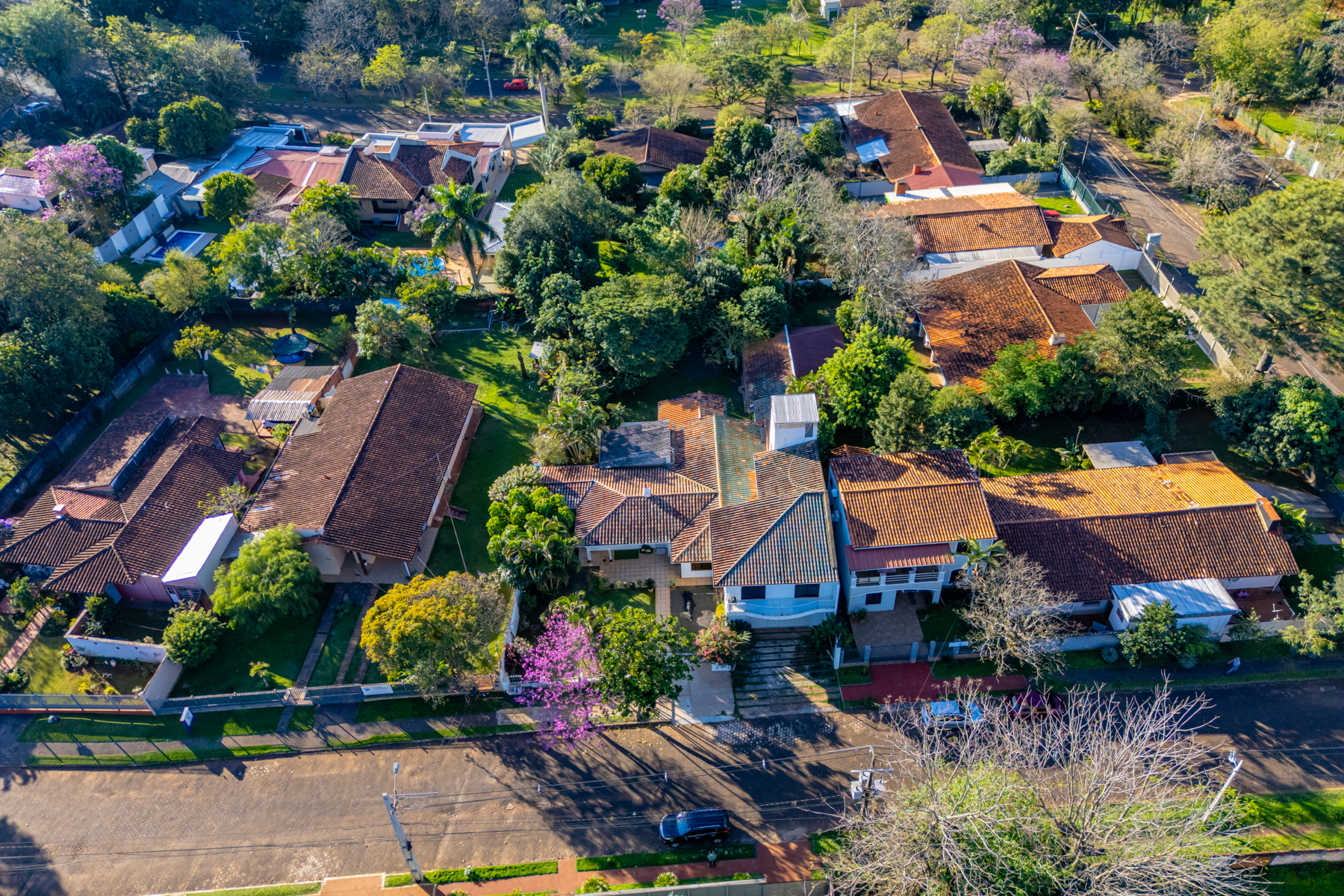  Exclusive Large-Scale Lot in Área 1, Ciudad del Este - 物件實景