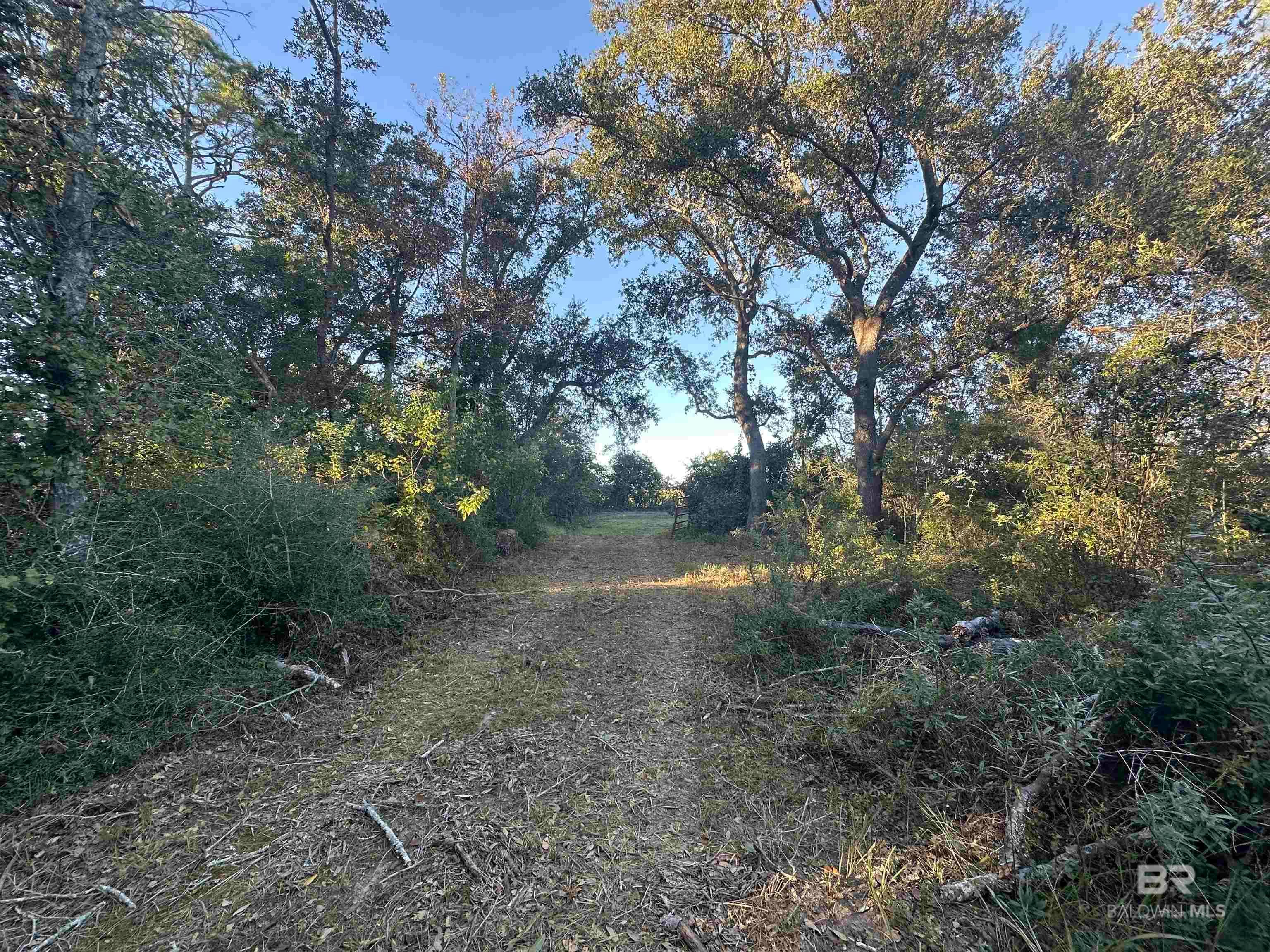Foley, Alabama, 36535, United States, ,Land,For Sale,1992817