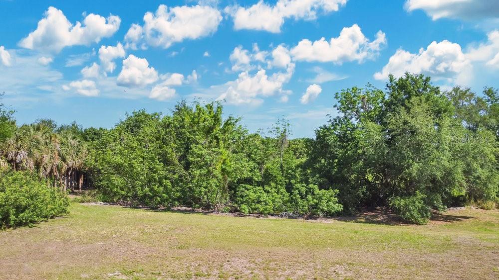 Windermere, Florida, 34786, United States, ,Land,For Sale,1885858